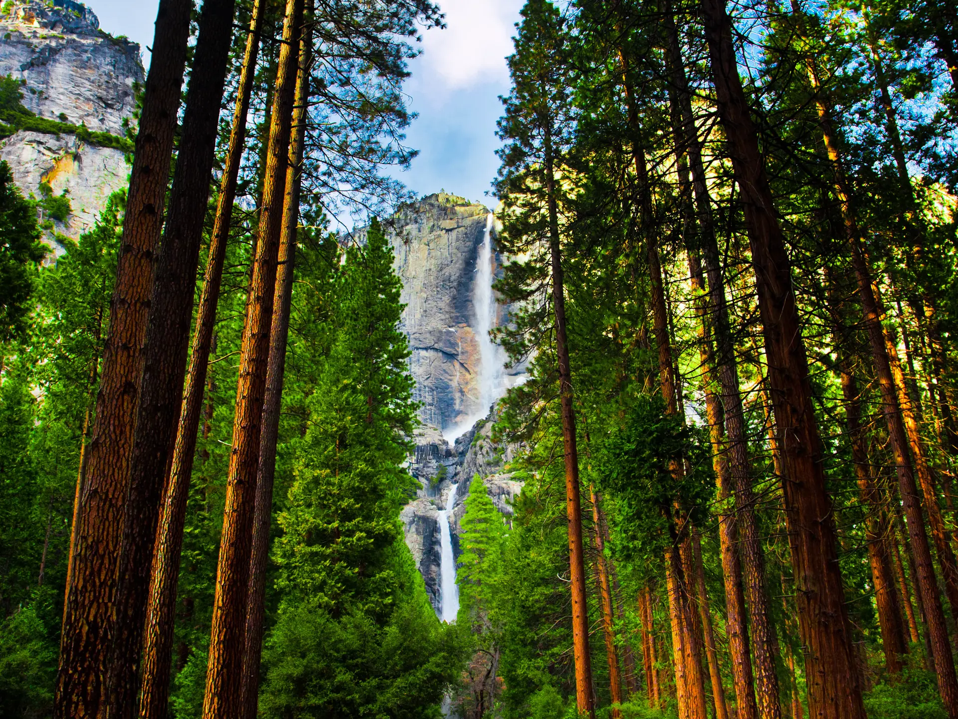 shutterstock_128950319 Yosemite Waterfalls behind Sequoias in Yosemite National Park,California.jpg