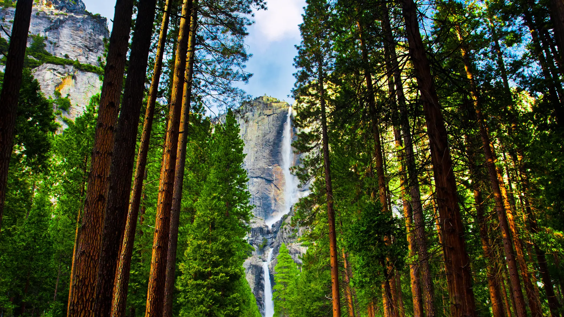 shutterstock_128950319 Yosemite Waterfalls behind Sequoias in Yosemite National Park,California.jpg