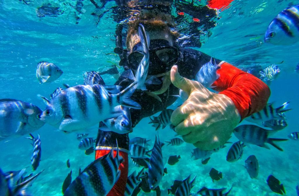 ZQH Activities Diving 163482922