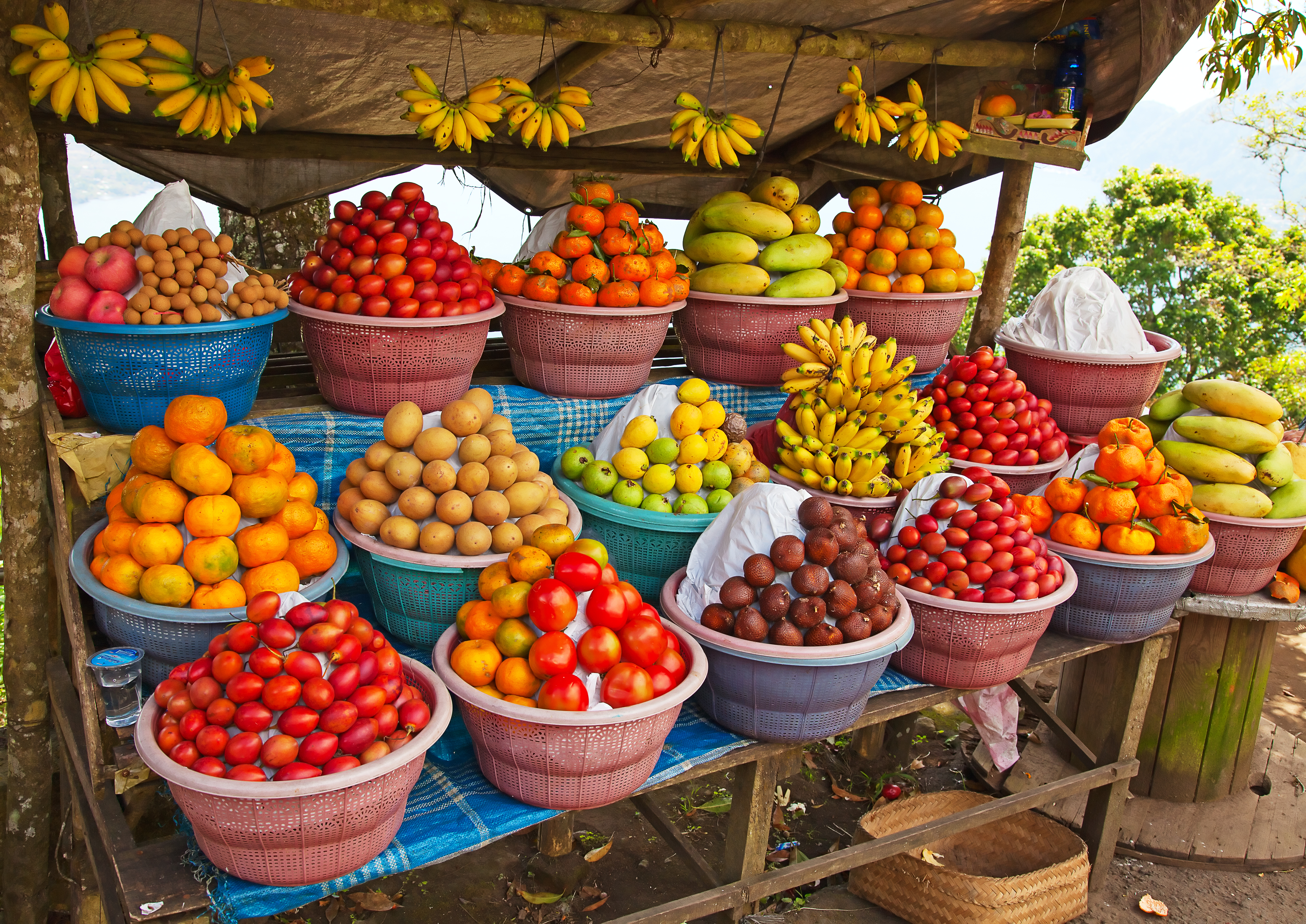 Open air fruit market in the indonesian village.jpg