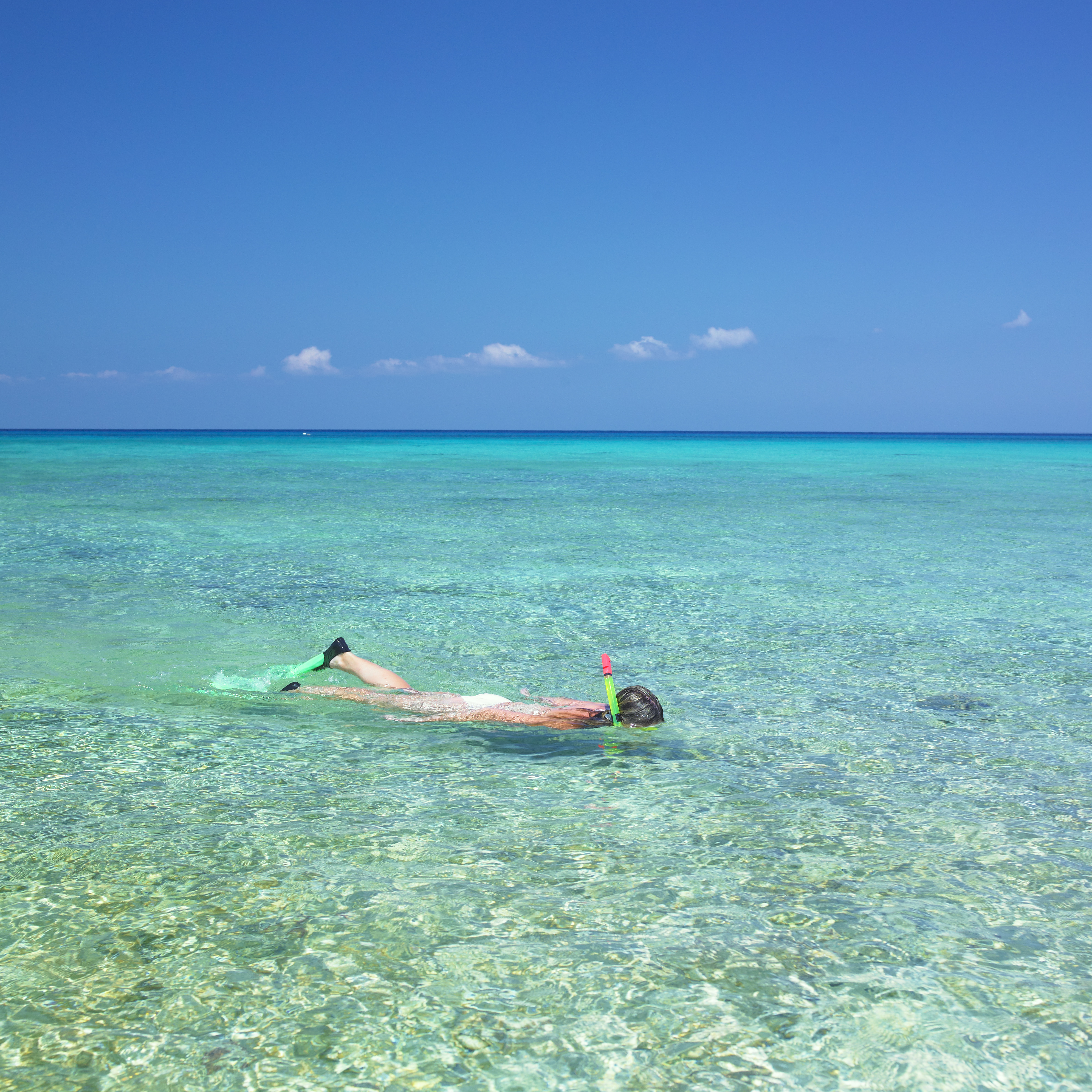 Flere steder i Cuba kan der snorkles. Her ved Maria la Gorda i Pinar del Rio Provinsen