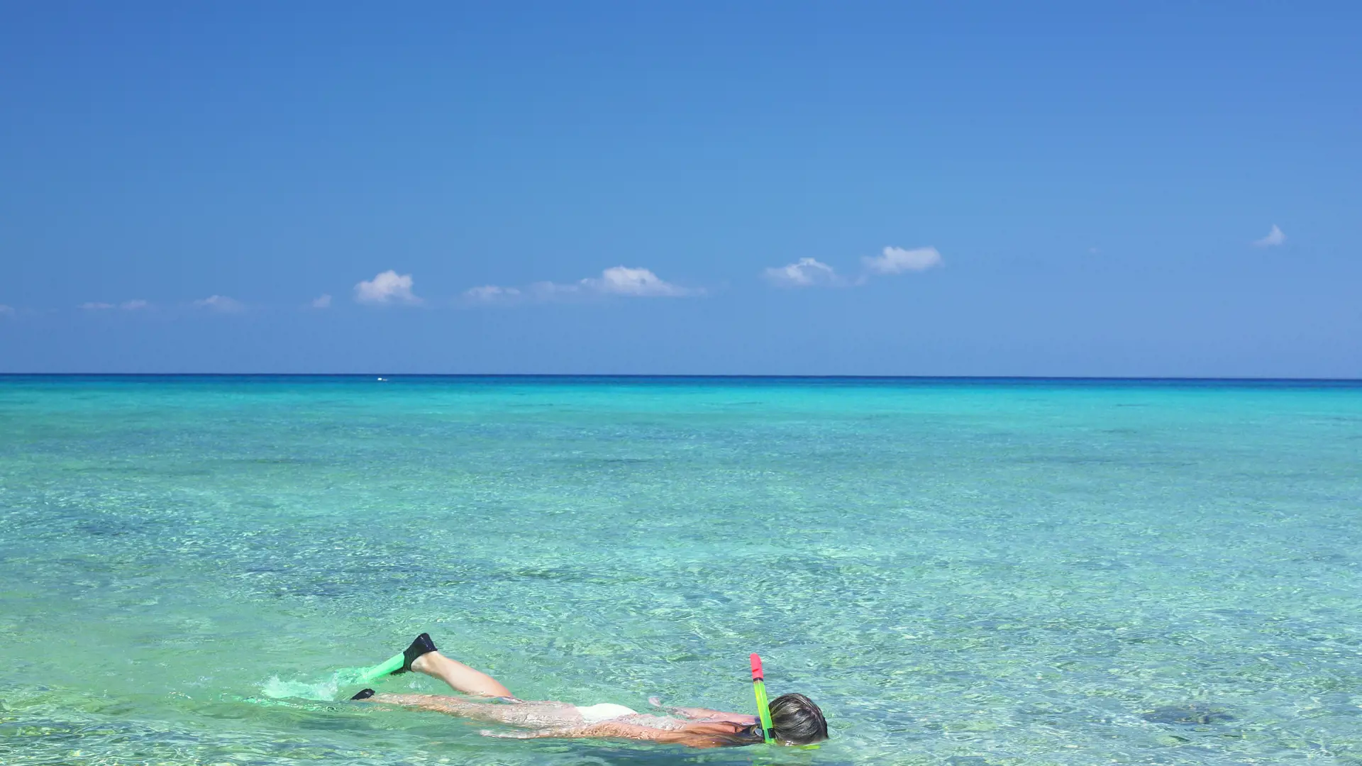 Flere steder i Cuba kan der snorkles. Her ved Maria la Gorda i Pinar del Rio Provinsen
