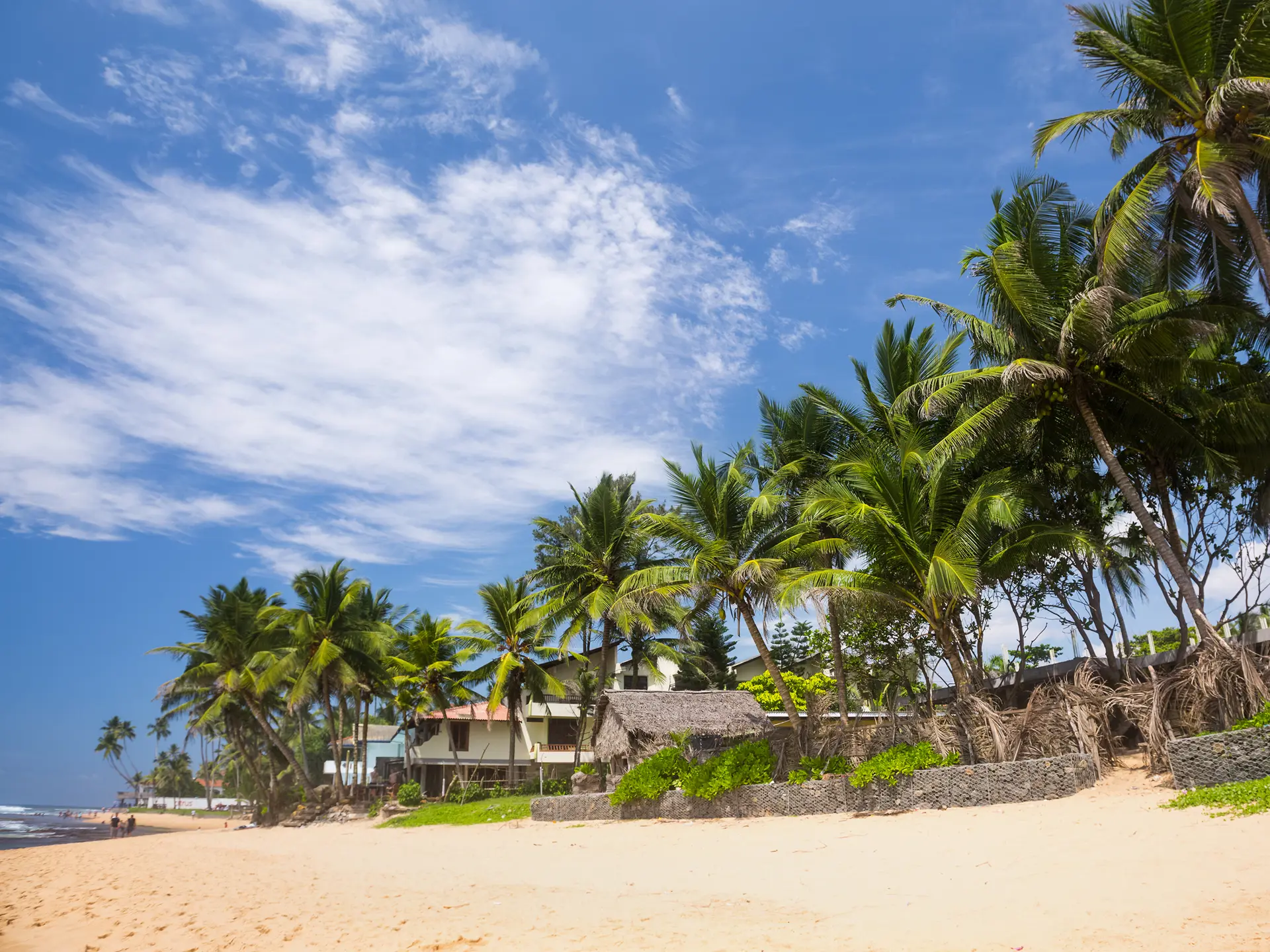 shutterstock_413597713 Tropical sandy beach with palm trees at sunny day. South of Bali, Jimbaran beach.jpg