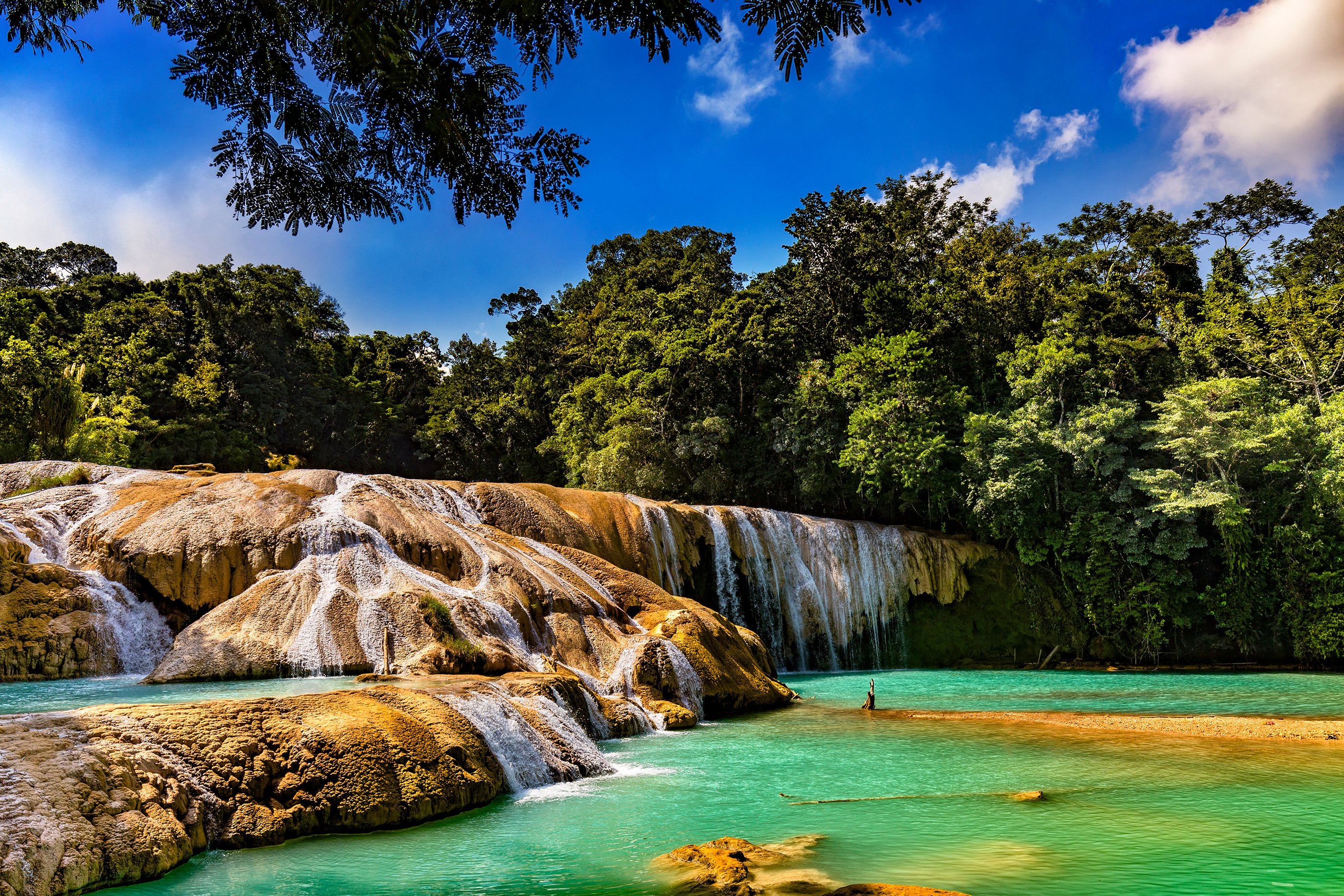 shutterstock_1008433612 Mexico. The Agua Azul cascades.jpg
