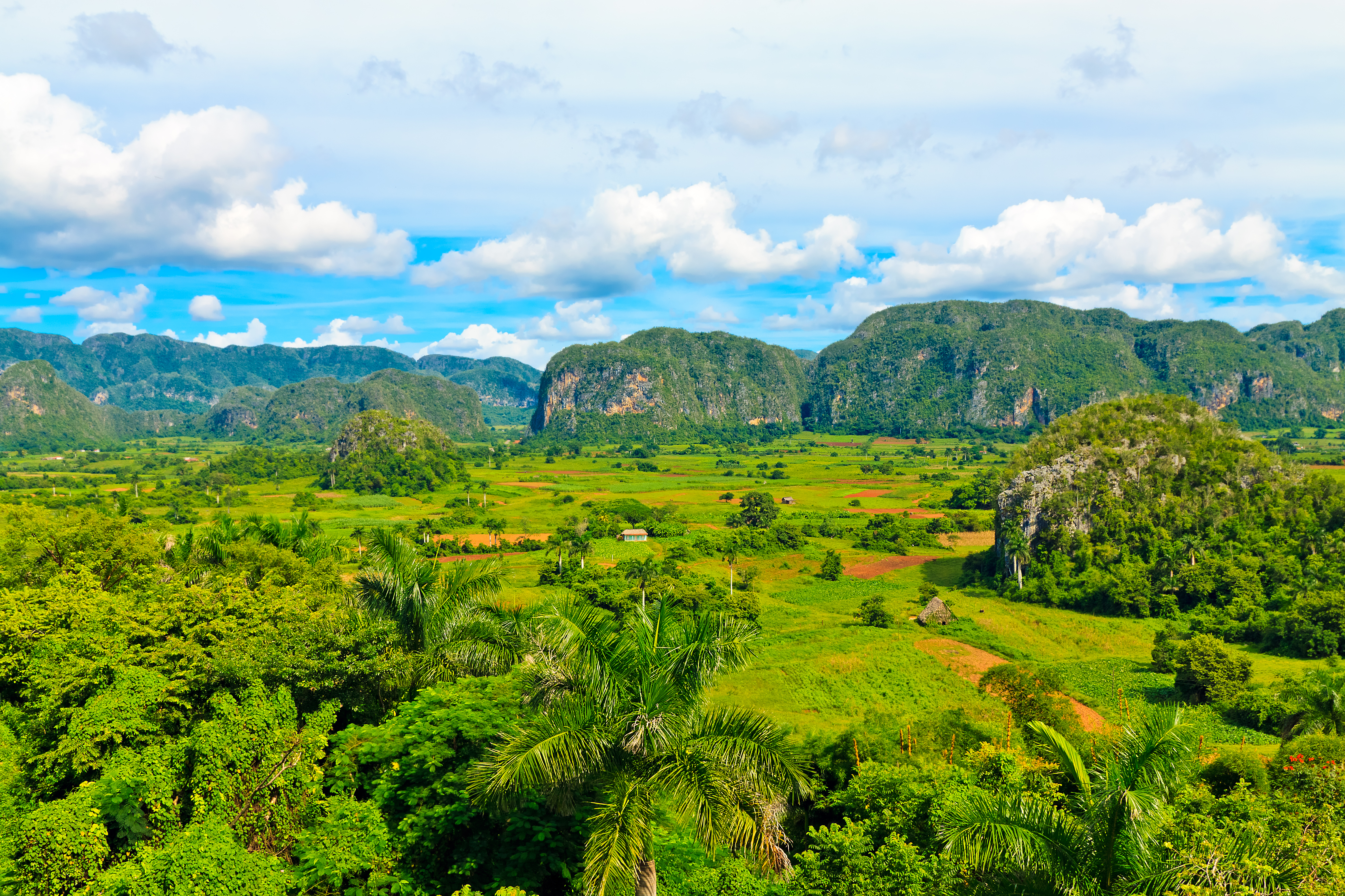 shutterstock_86617834 Vinales valley in Cuba, a major tobacco growing area.jpg