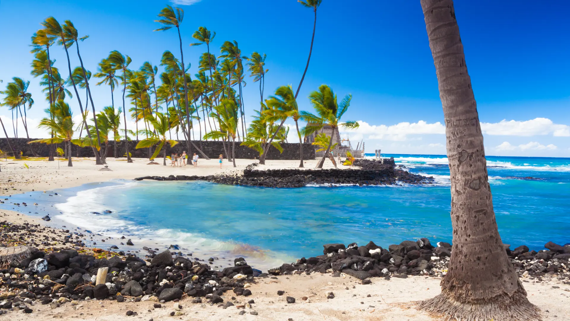 Palm trees growing on ancient Hawaiian site Pu'uhonua O Honaunau National Historical Park on Big Island, Hawaii.jpg