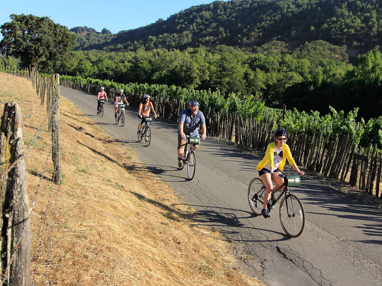 Cykeltur i Sonoma Valley.jpg