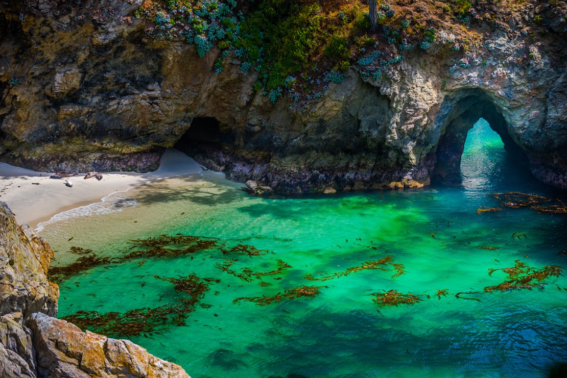 Point Lobos State Natural Reserve i Californien  - shutterstock_463065325.jpg