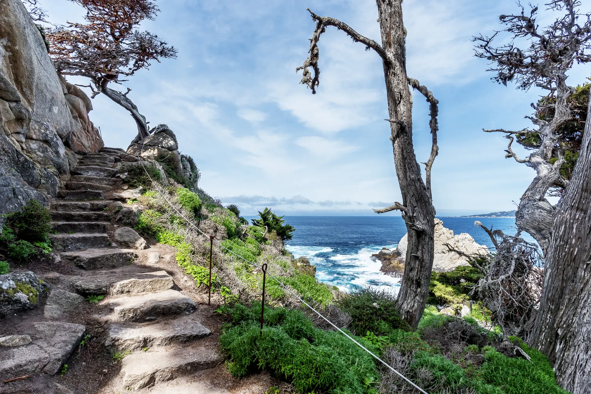 Point Lobos State Natural Reserve i Californien - shutterstock_388481929.jpg