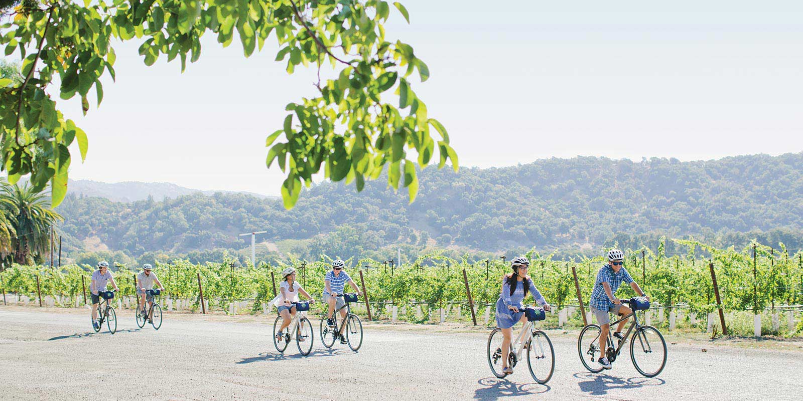 18465-media-5-Slideshow-SonomaValleyBikeTours-1600x800.jpg