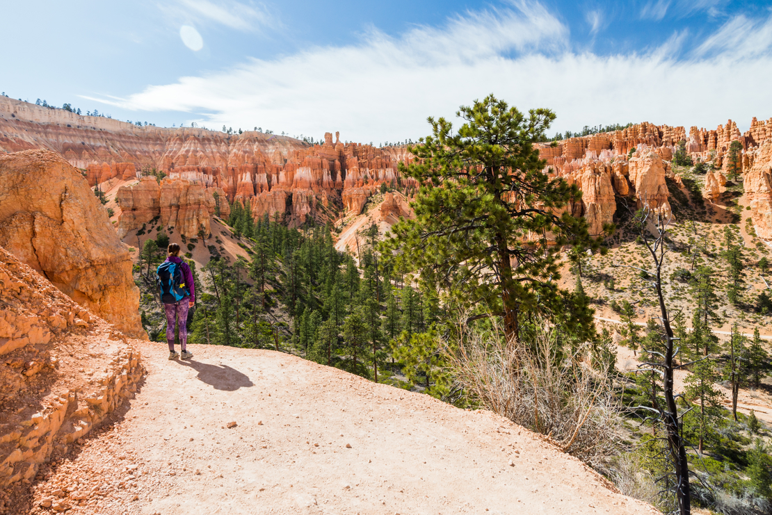 På vantretur i Bryce Canyon National Park - shutterstock_1179404434.jpg