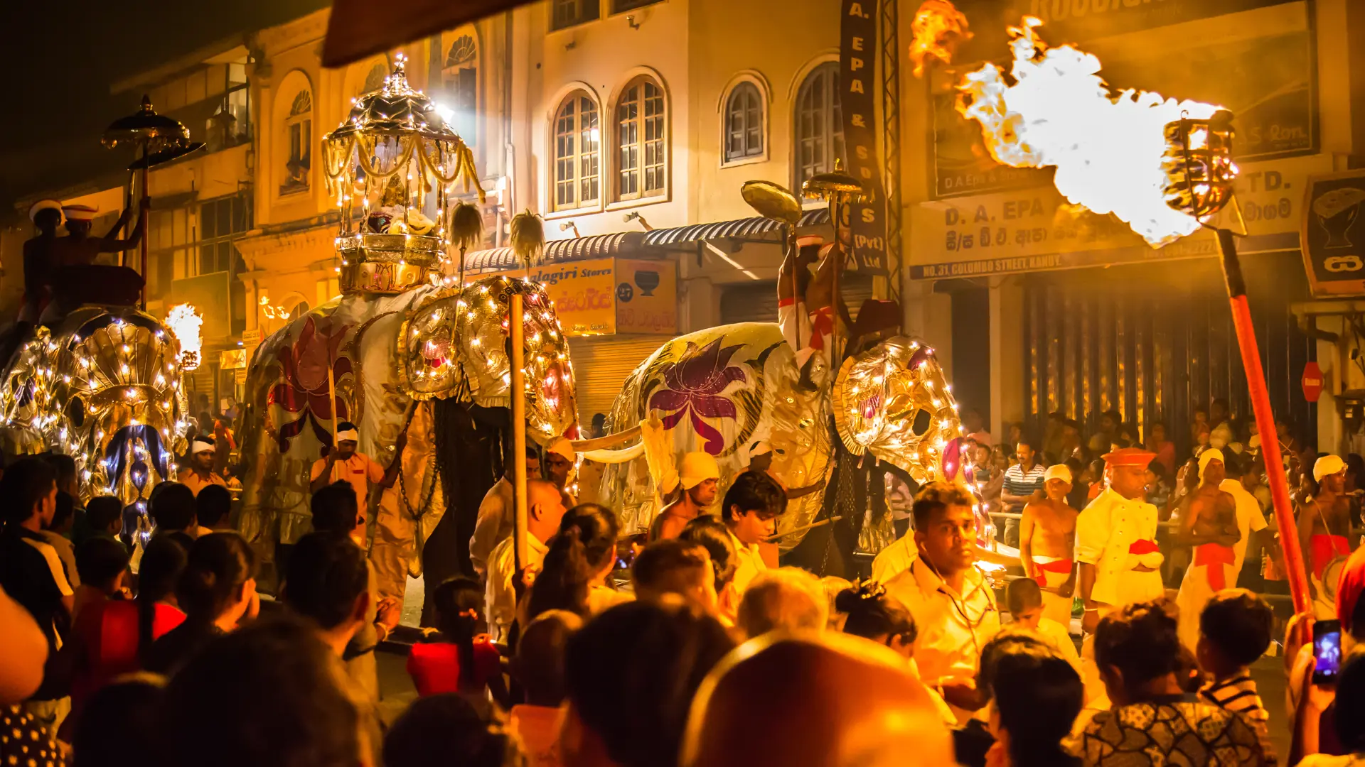 Kandy Festival. Elefatner. Rejser til Sri Lanka.jpg
