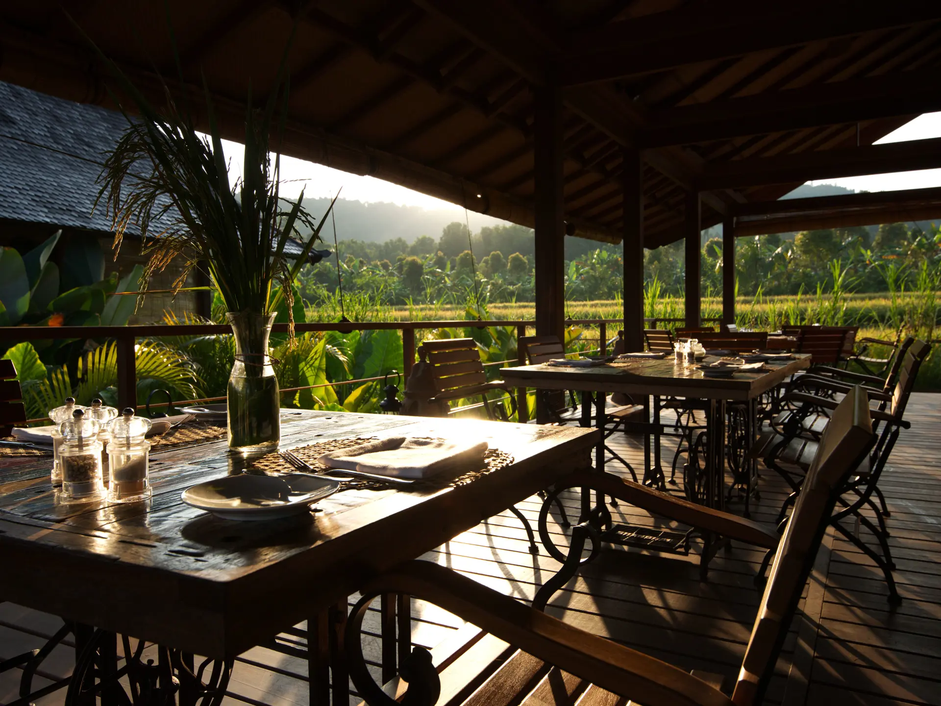 13 Sanak Kitchen  .jpg