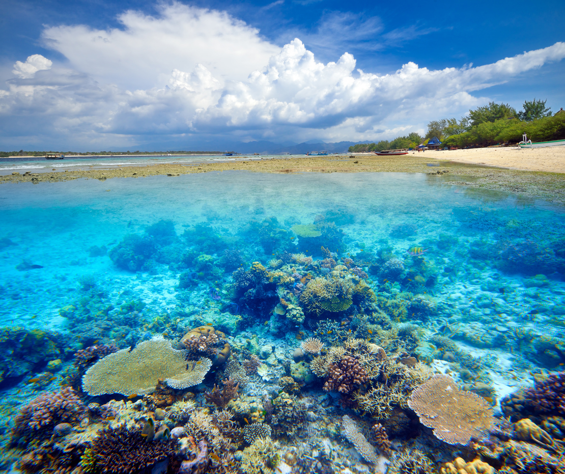 Gili Trawangan. Rejser til Bali.jpg