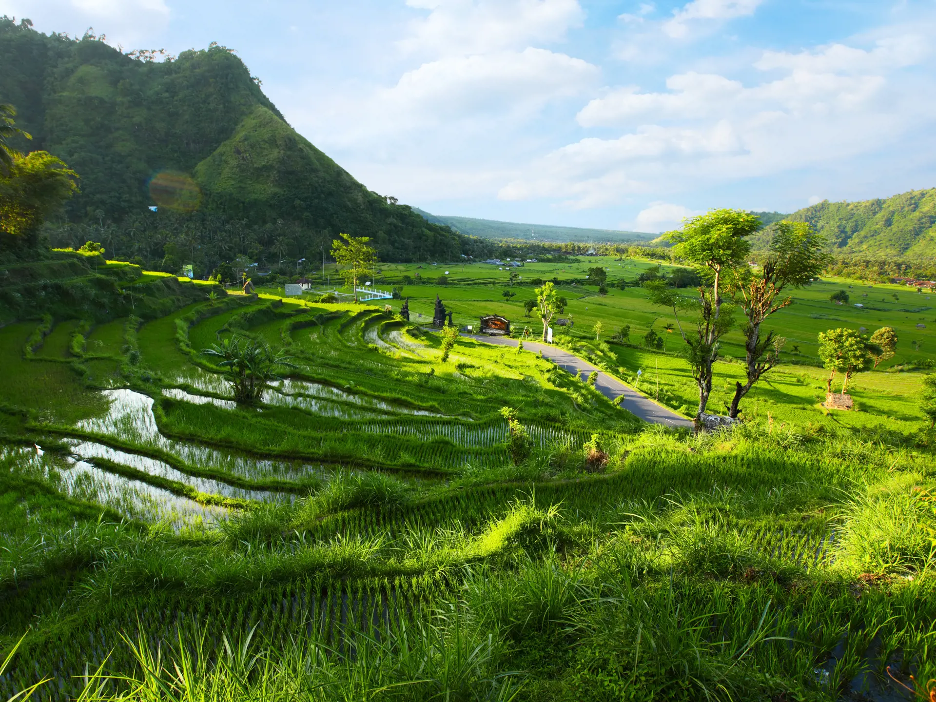 Smukke naturoplevelser på Bali.jpg