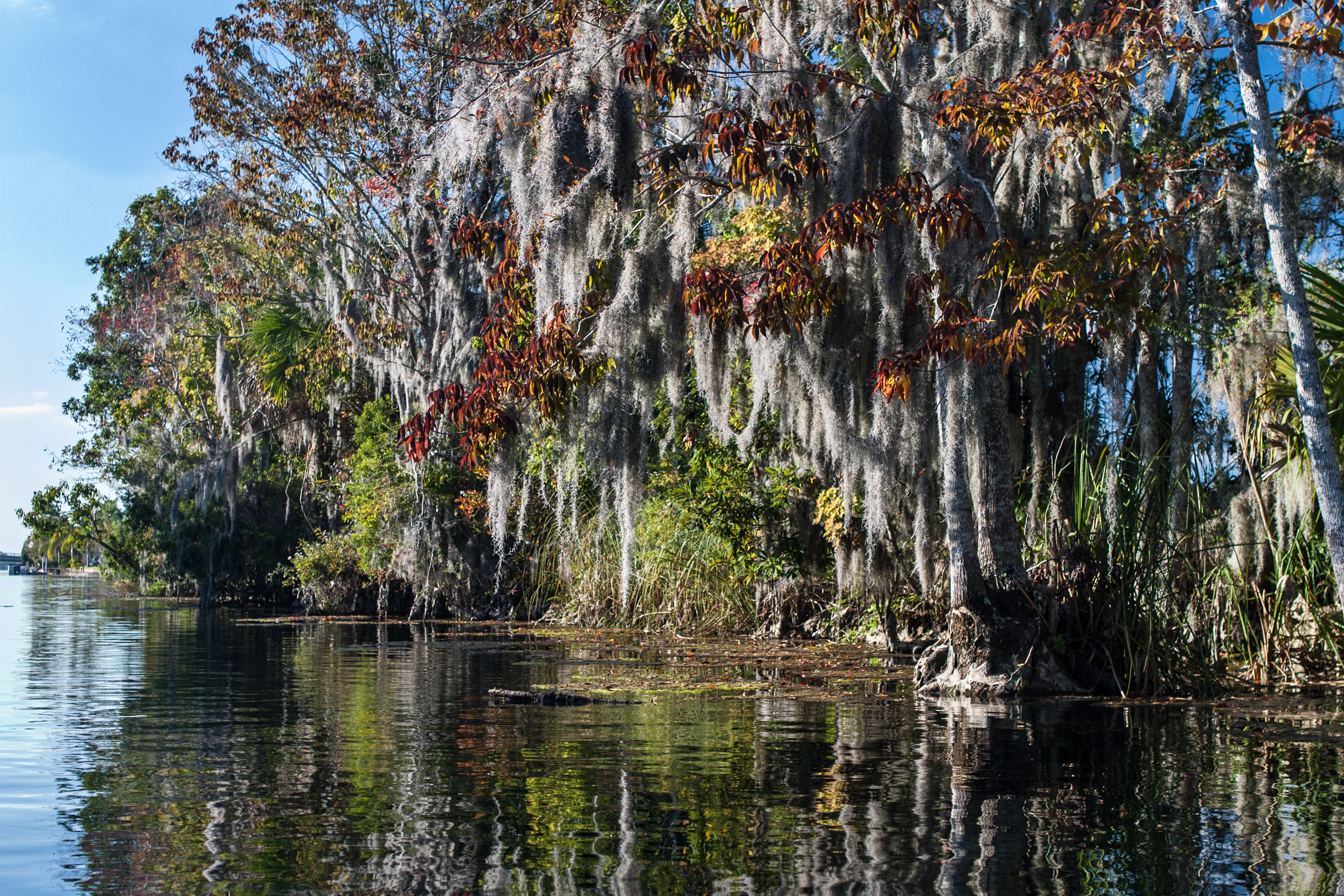 crystal river_river.jpg