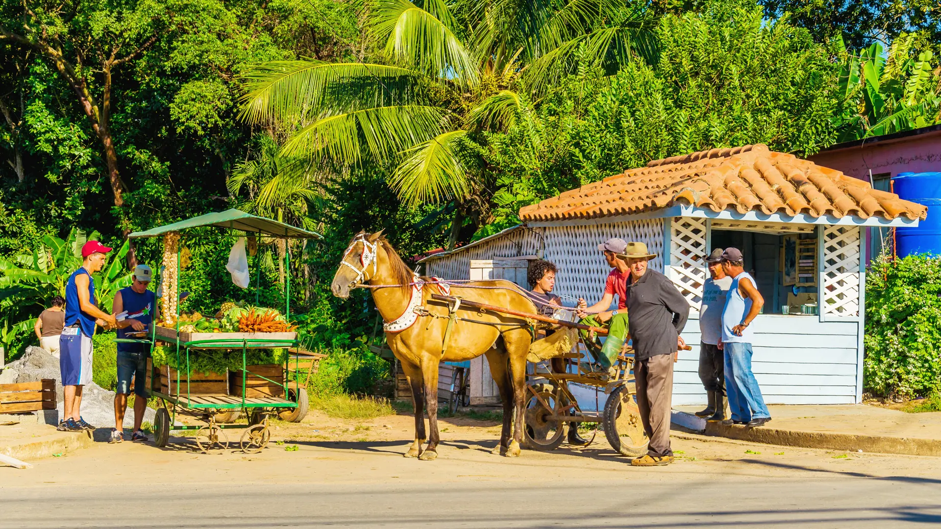 shutterstock_253726642  The main street of Vinales with street stalls.jpg