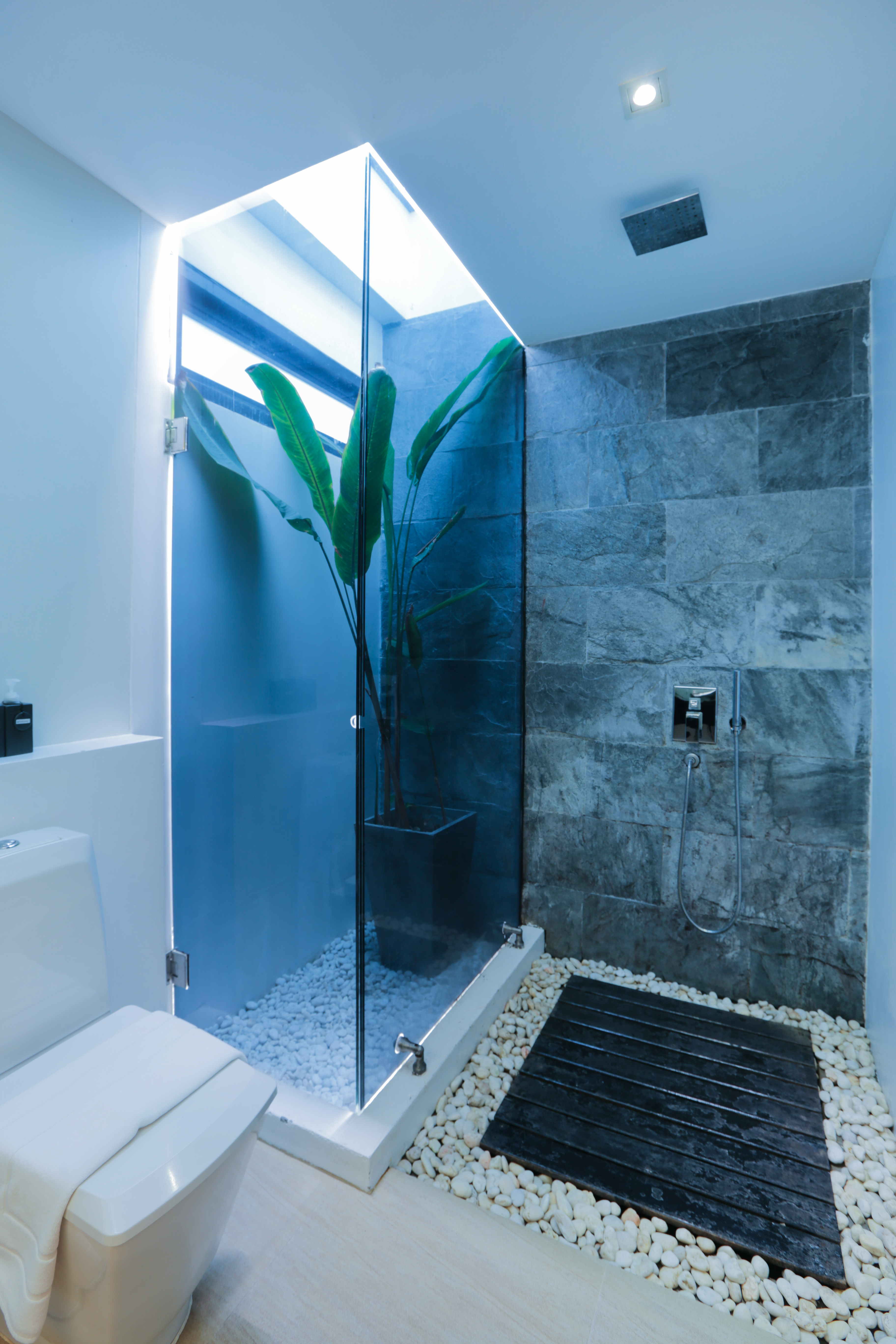 Deluxe Bungalow Bathroom.jpg