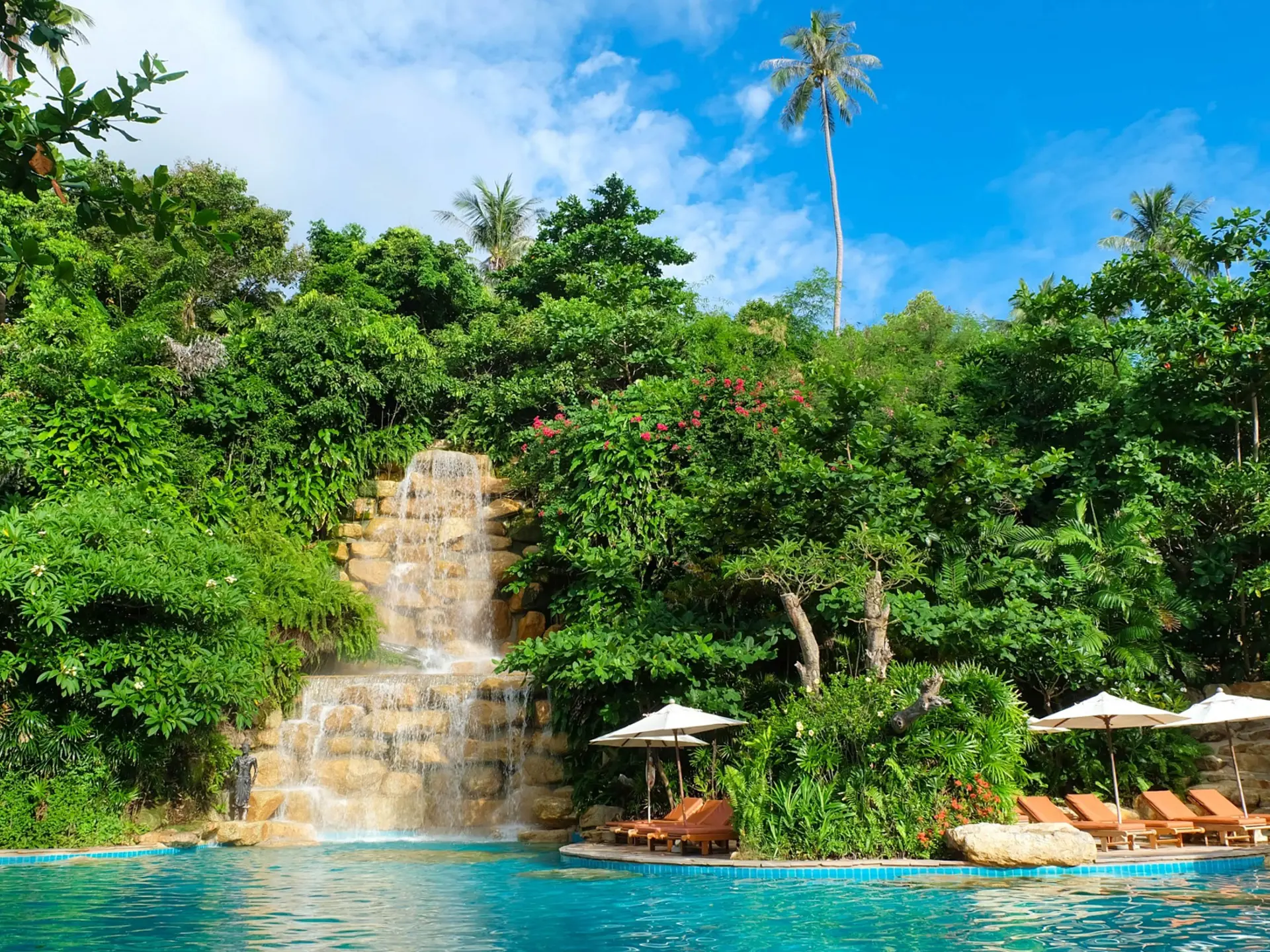 Main Pool - 2.jpg