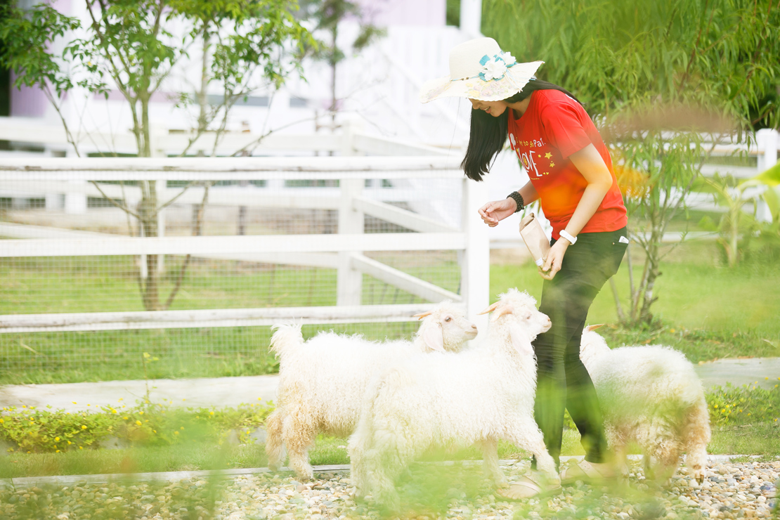 Pai Village Boutique Resort _ Farm6.jpg