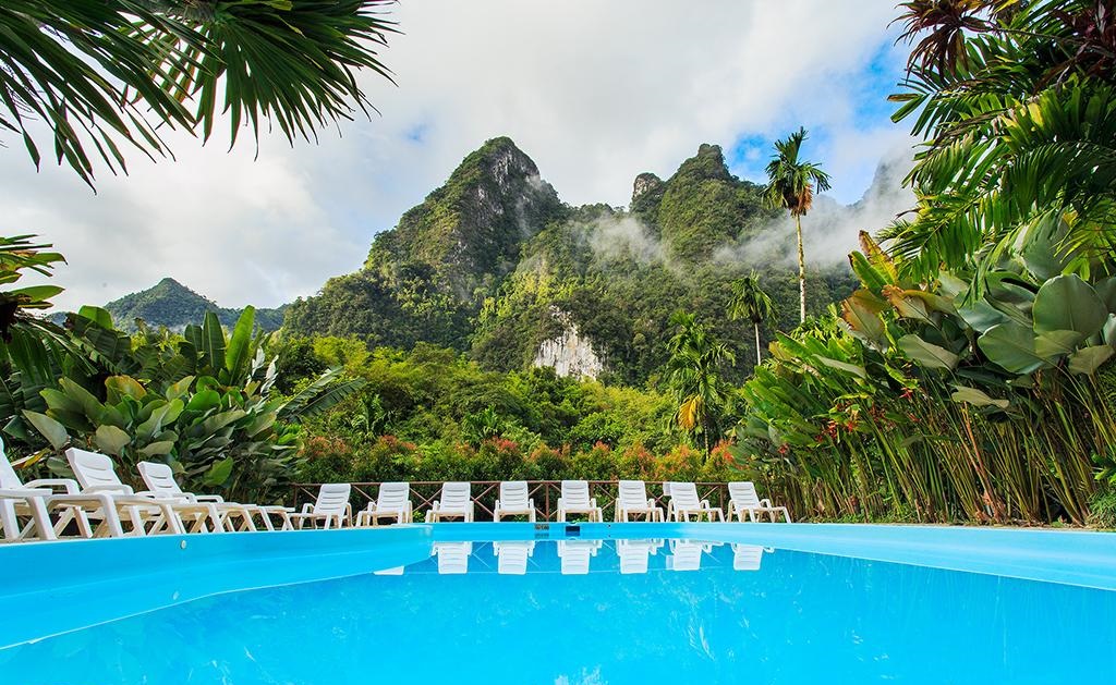 The-Elephant-Camp-21 CROPPED.jpg