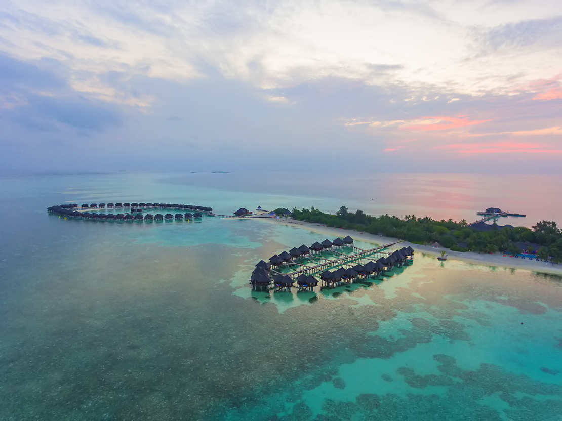 Ariel Olhuveli 1