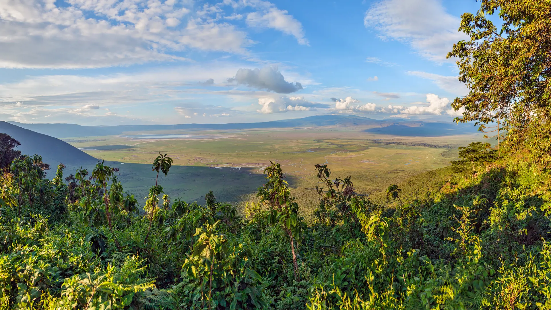 Dyr Ngorongoro15