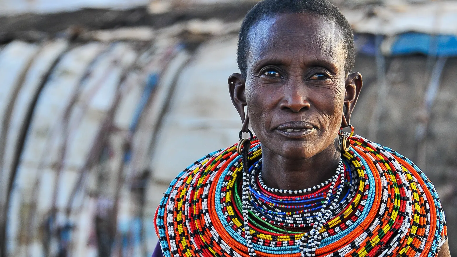 Shutterstock 743948542