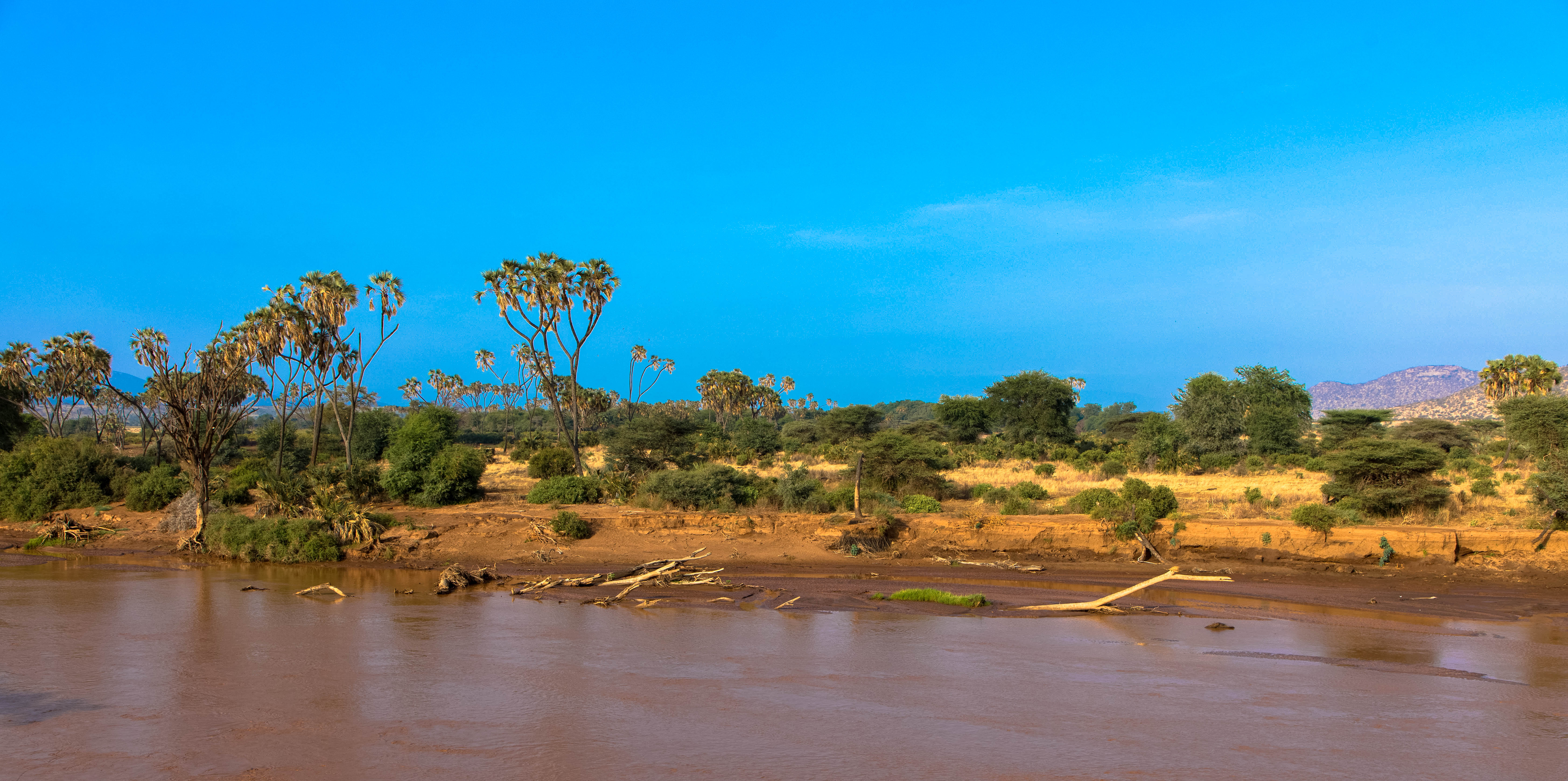 Shutterstock 1510139582