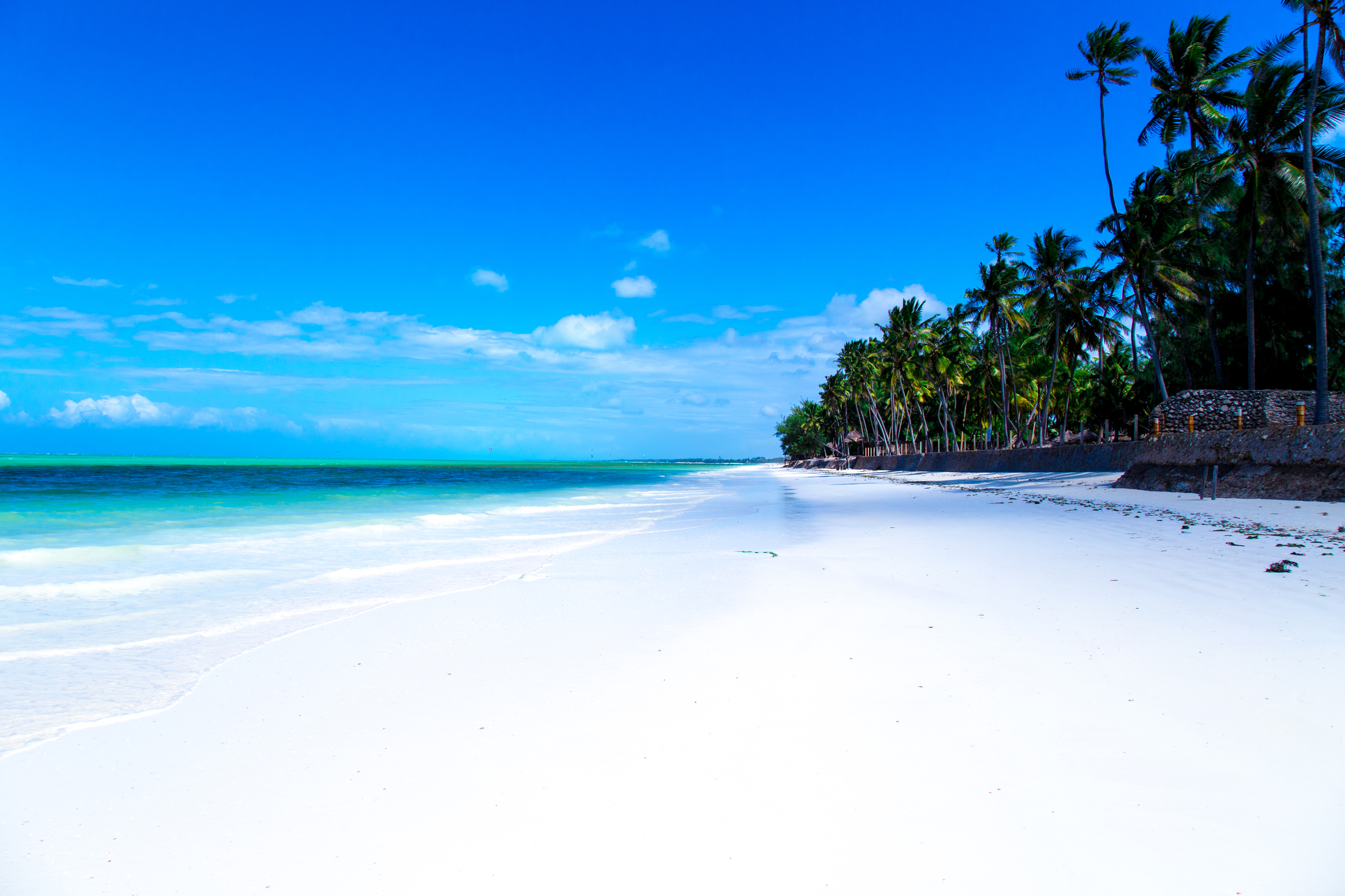 Shutterstock 767618422