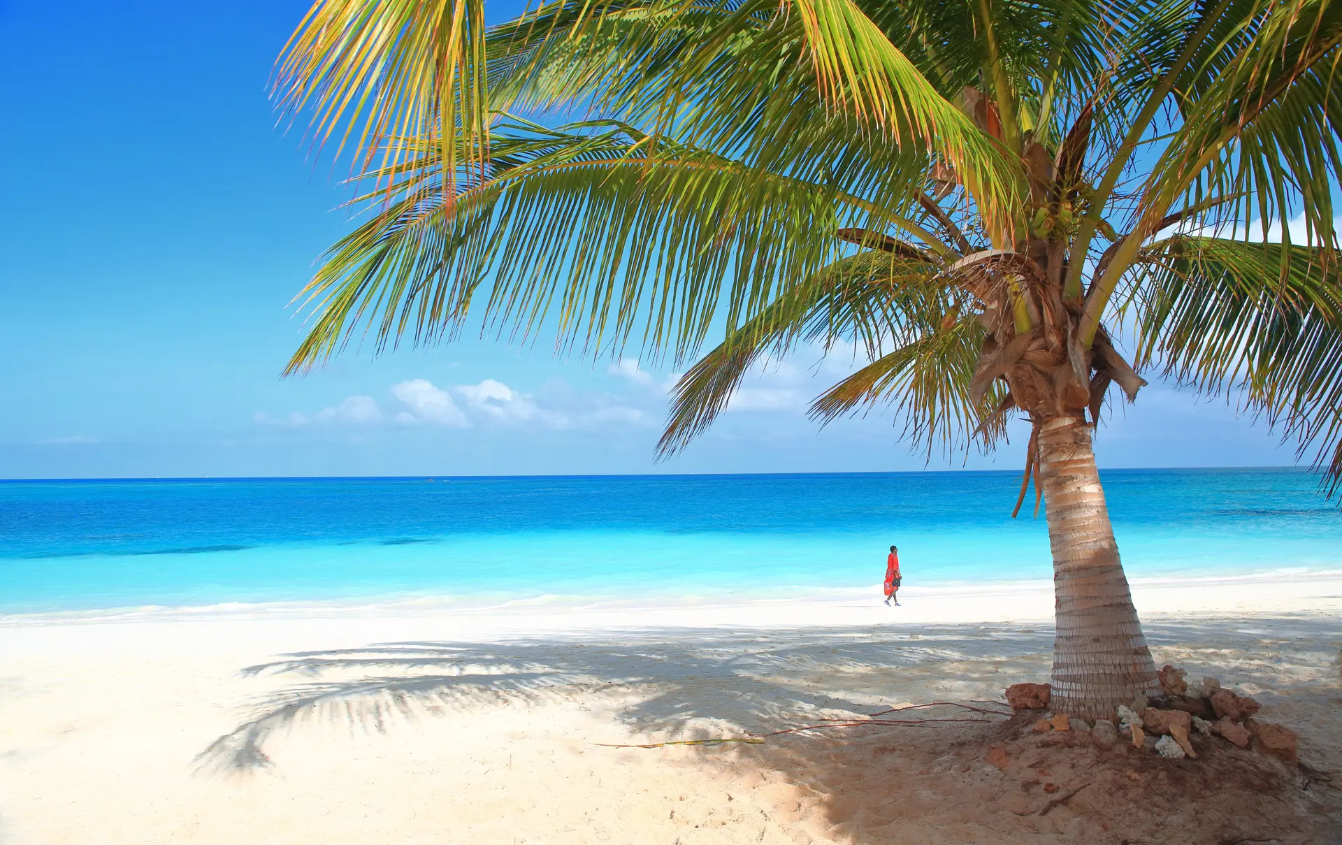 Shutterstock 597977831