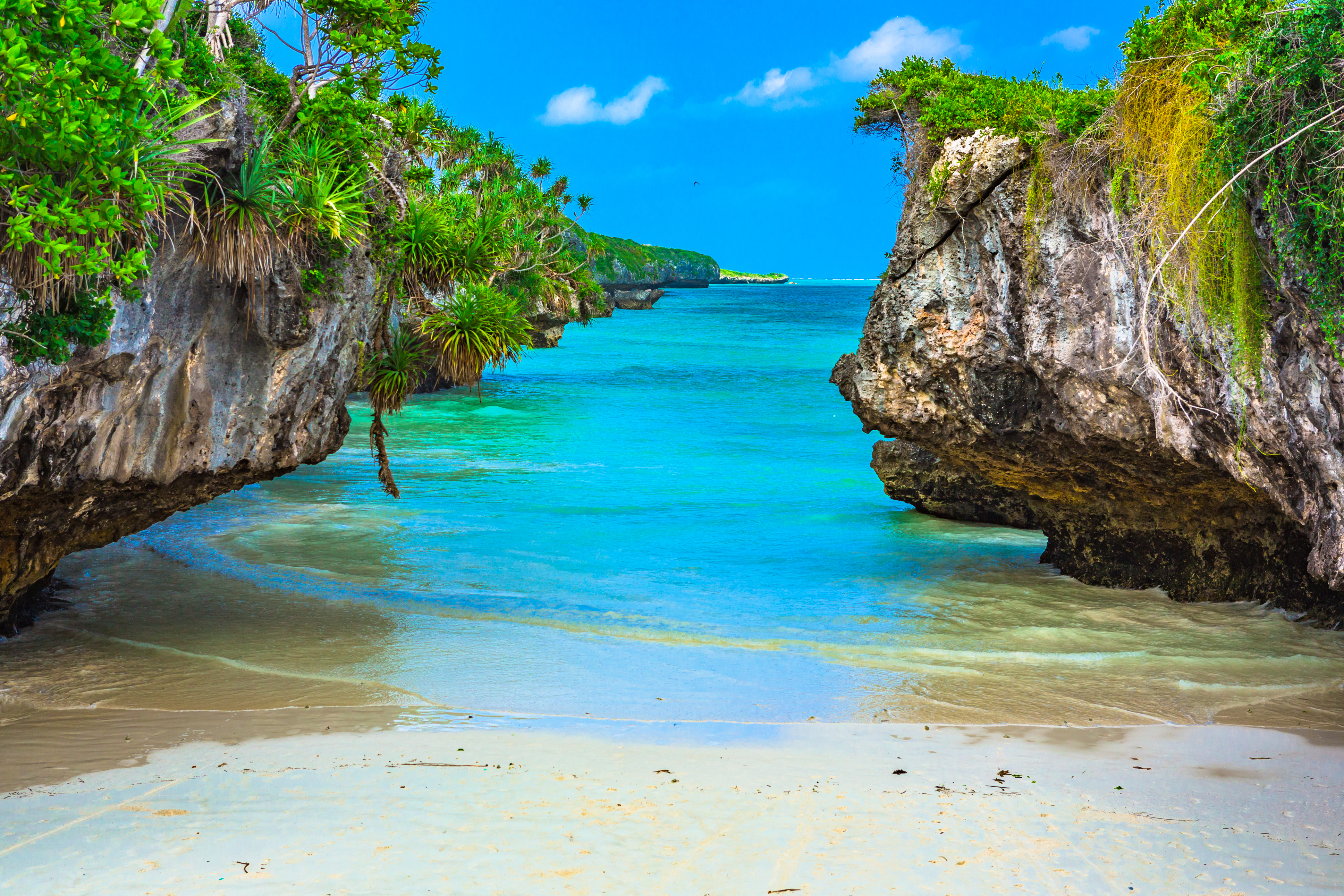 Shutterstock 1026957862