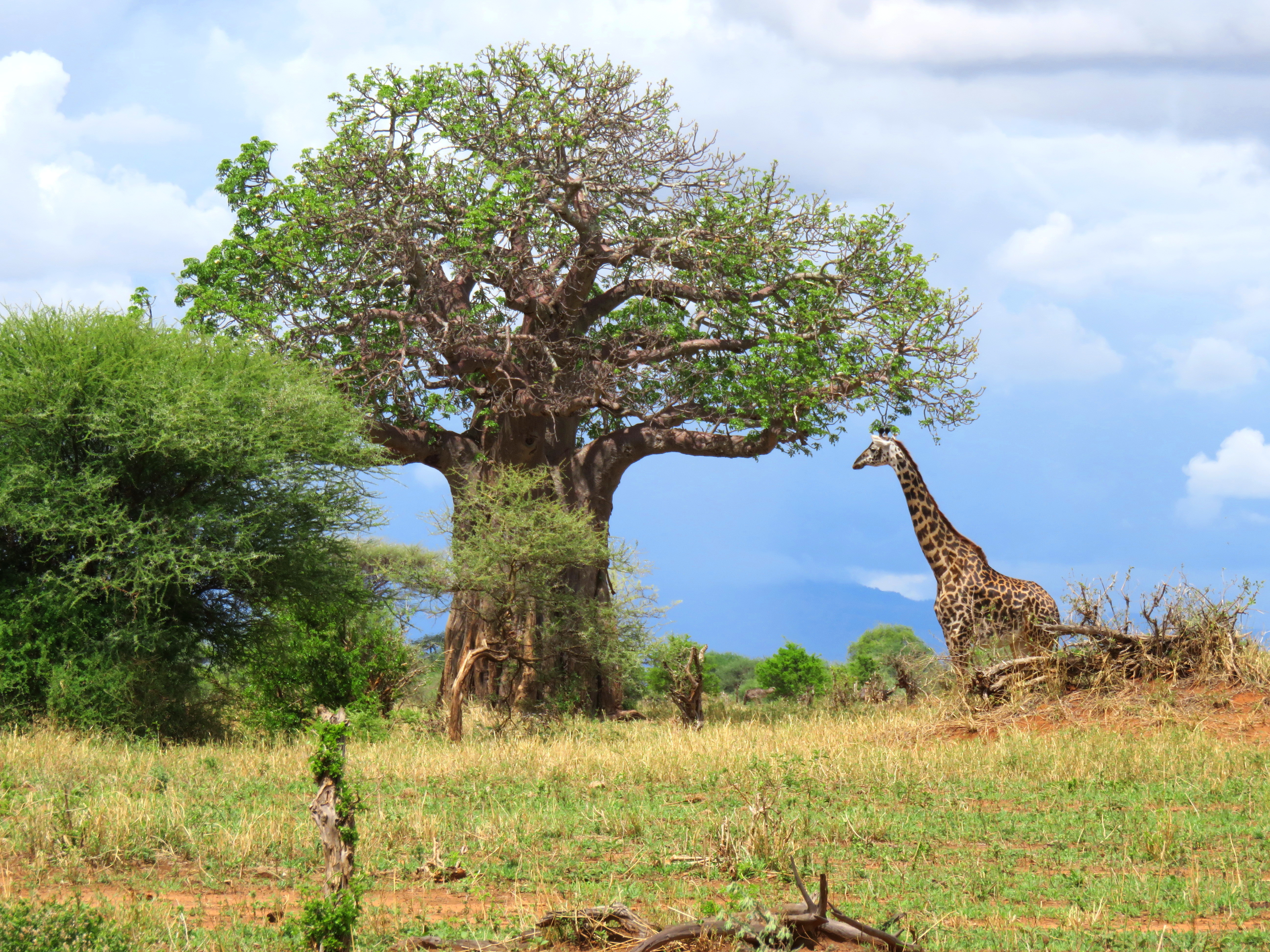 Shutterstock 790535779