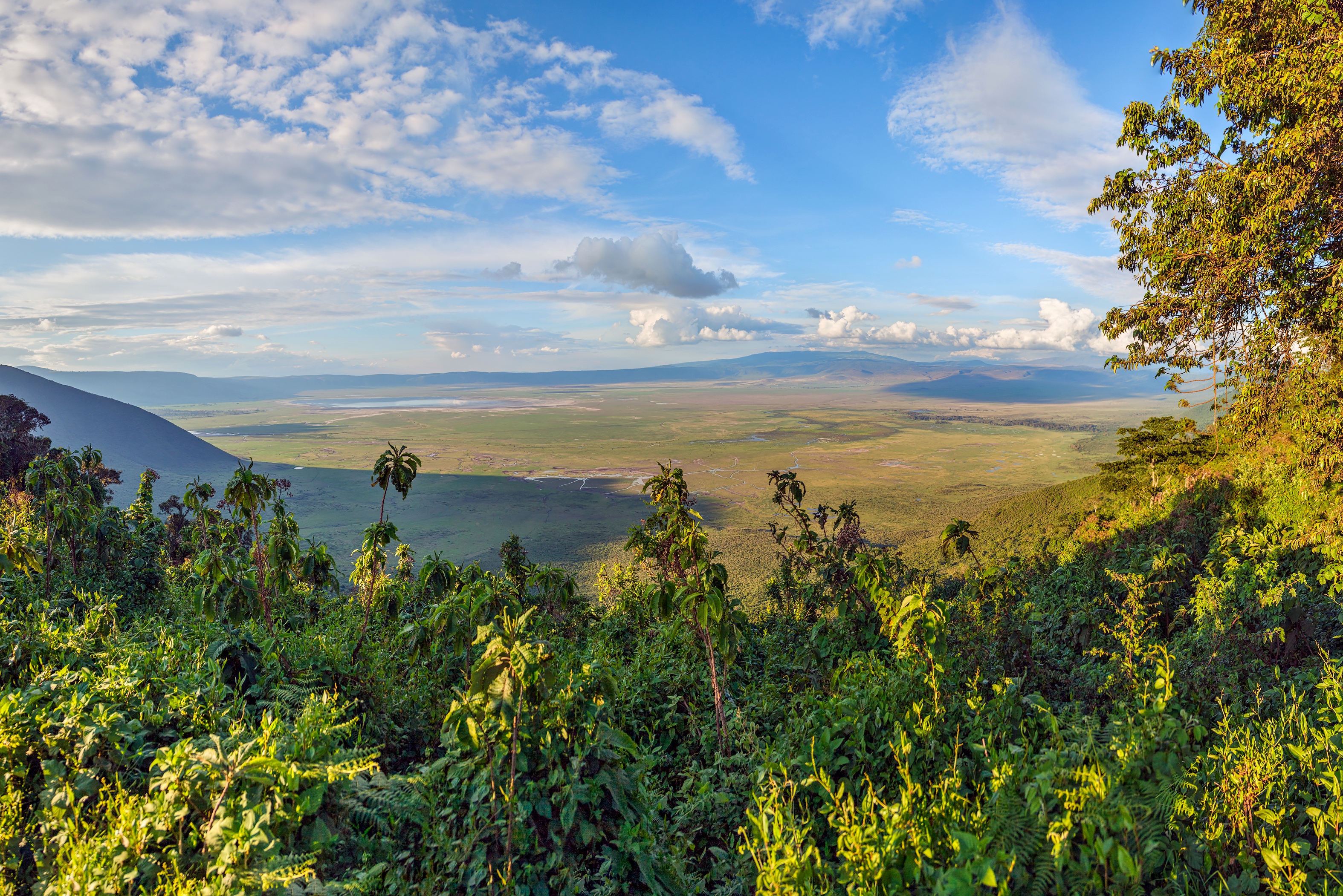 Dyr Ngorongoro15