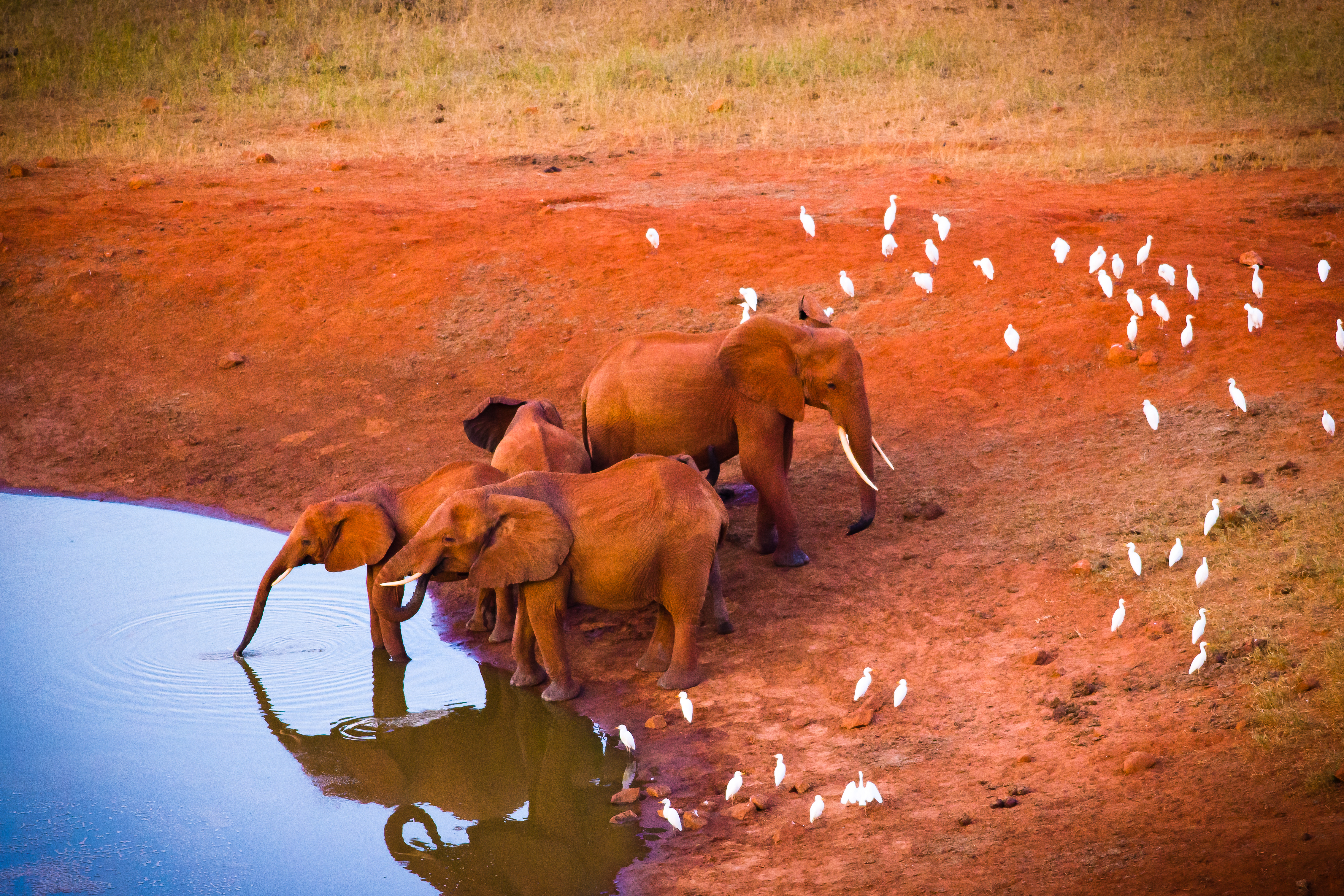 Shutterstock 219115378