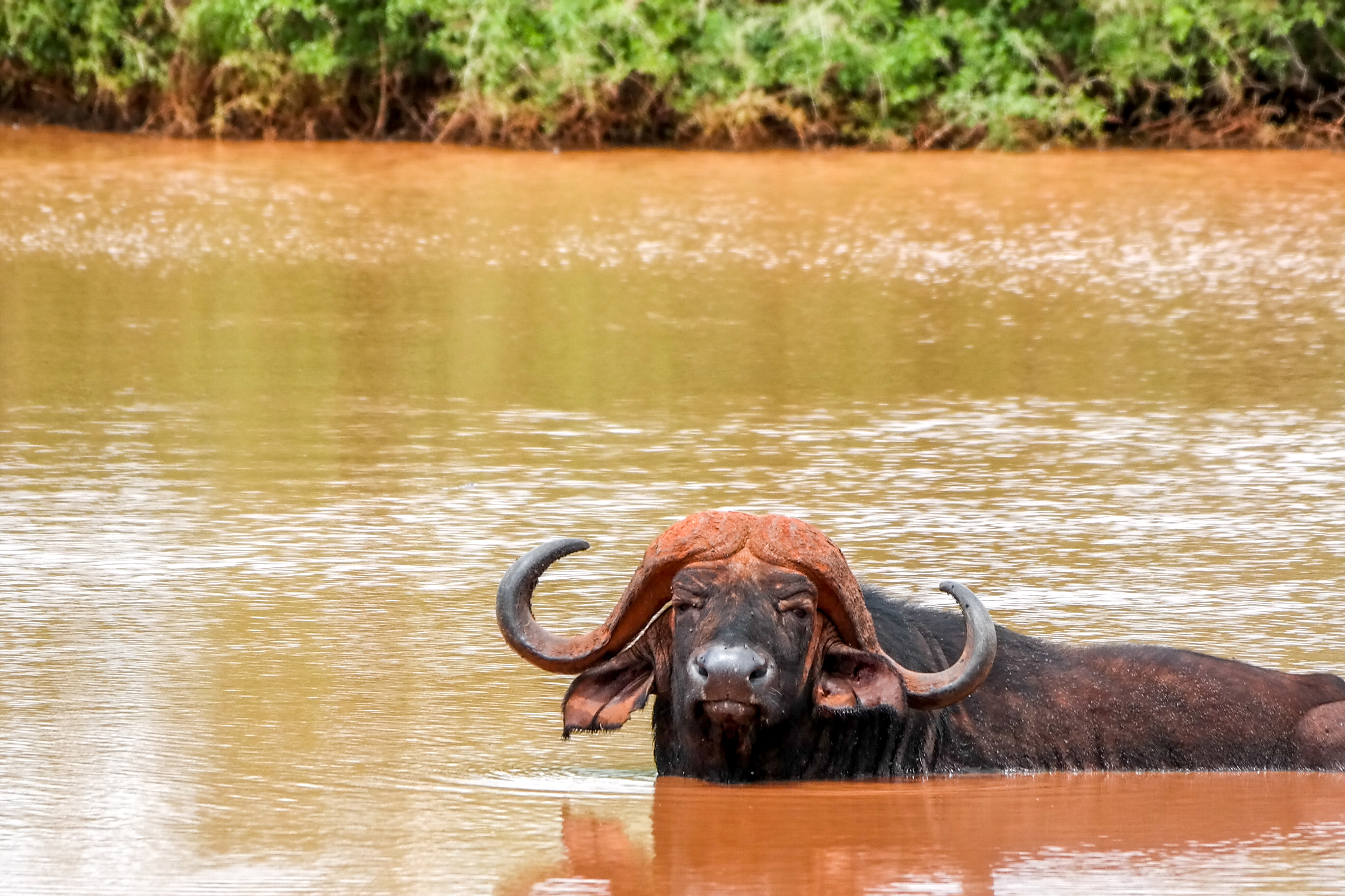 Shutterstock 629589374