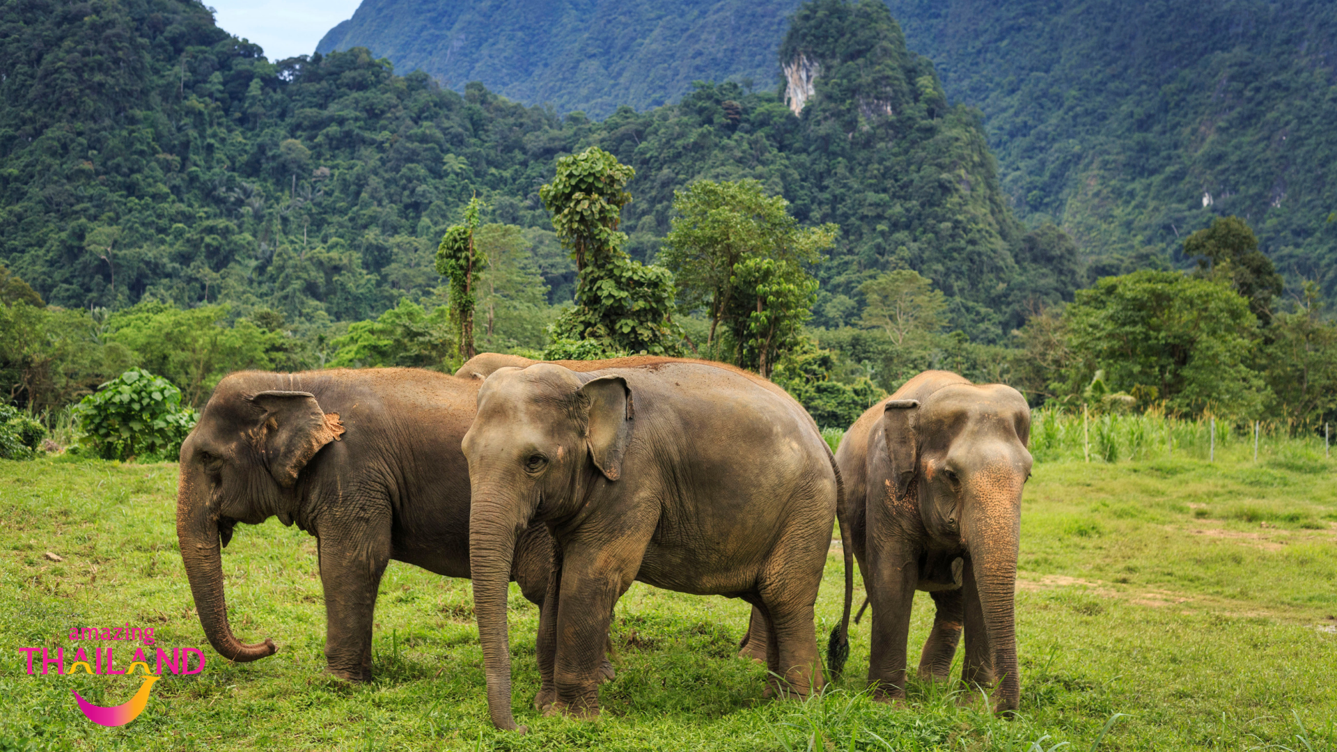 Design Uden Navn (12)