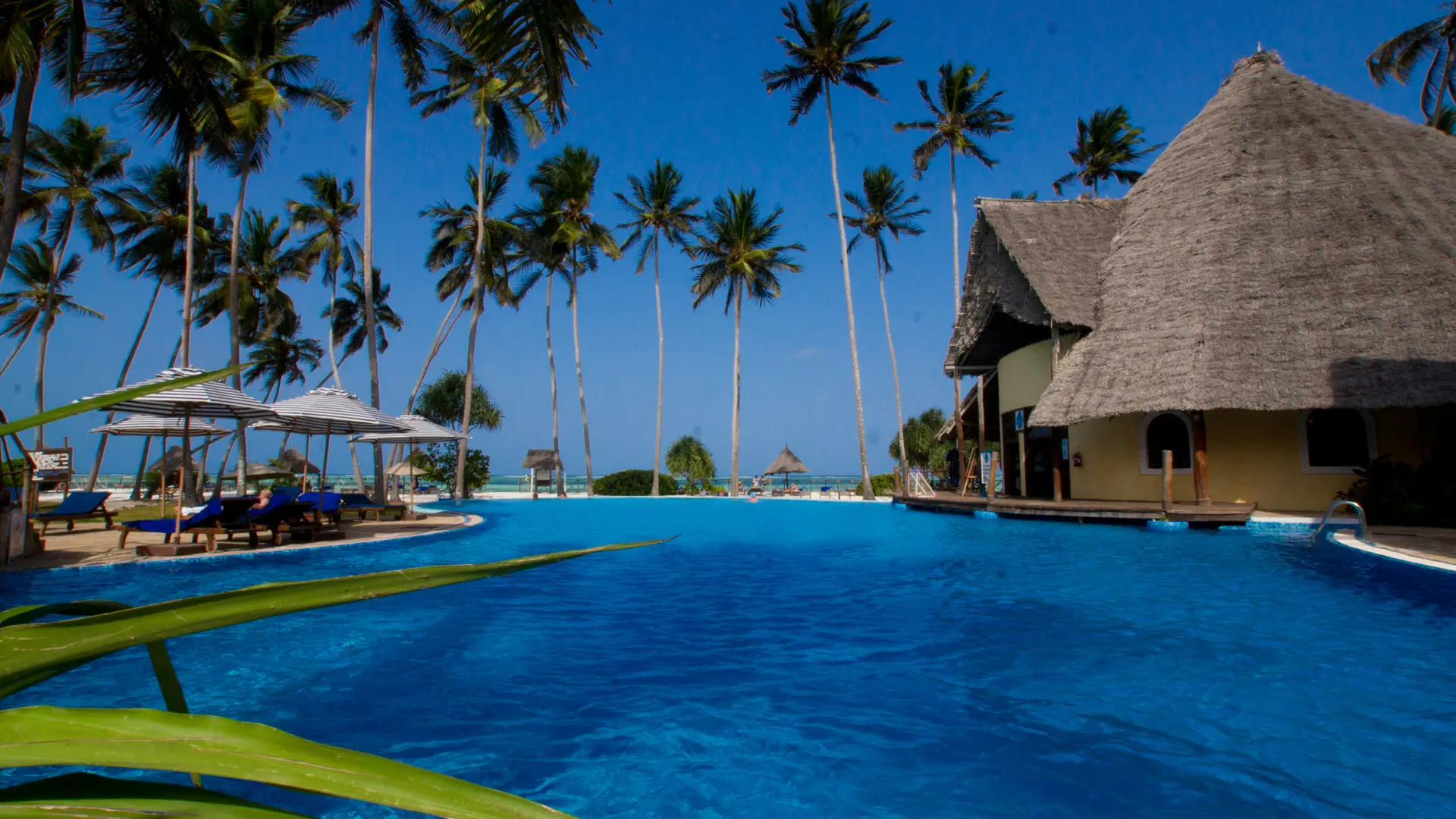 Pool1