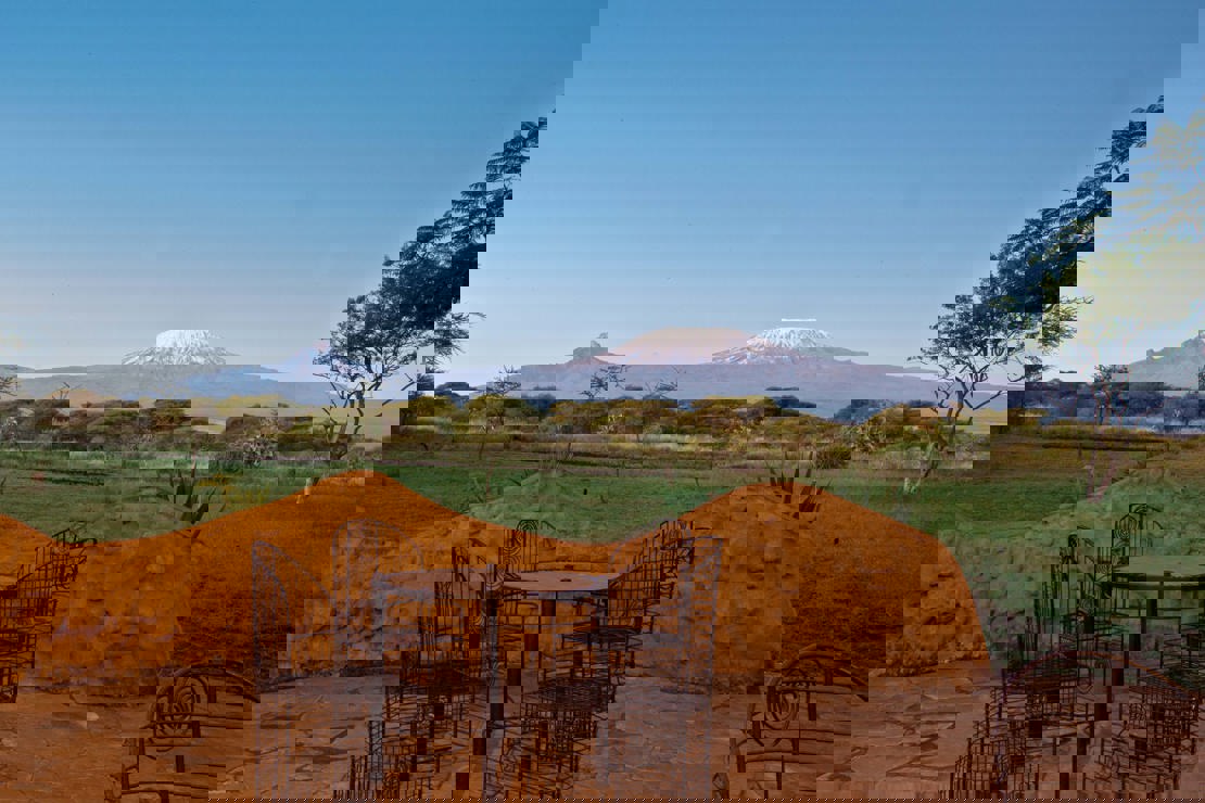 Mount Kilimanjaro View