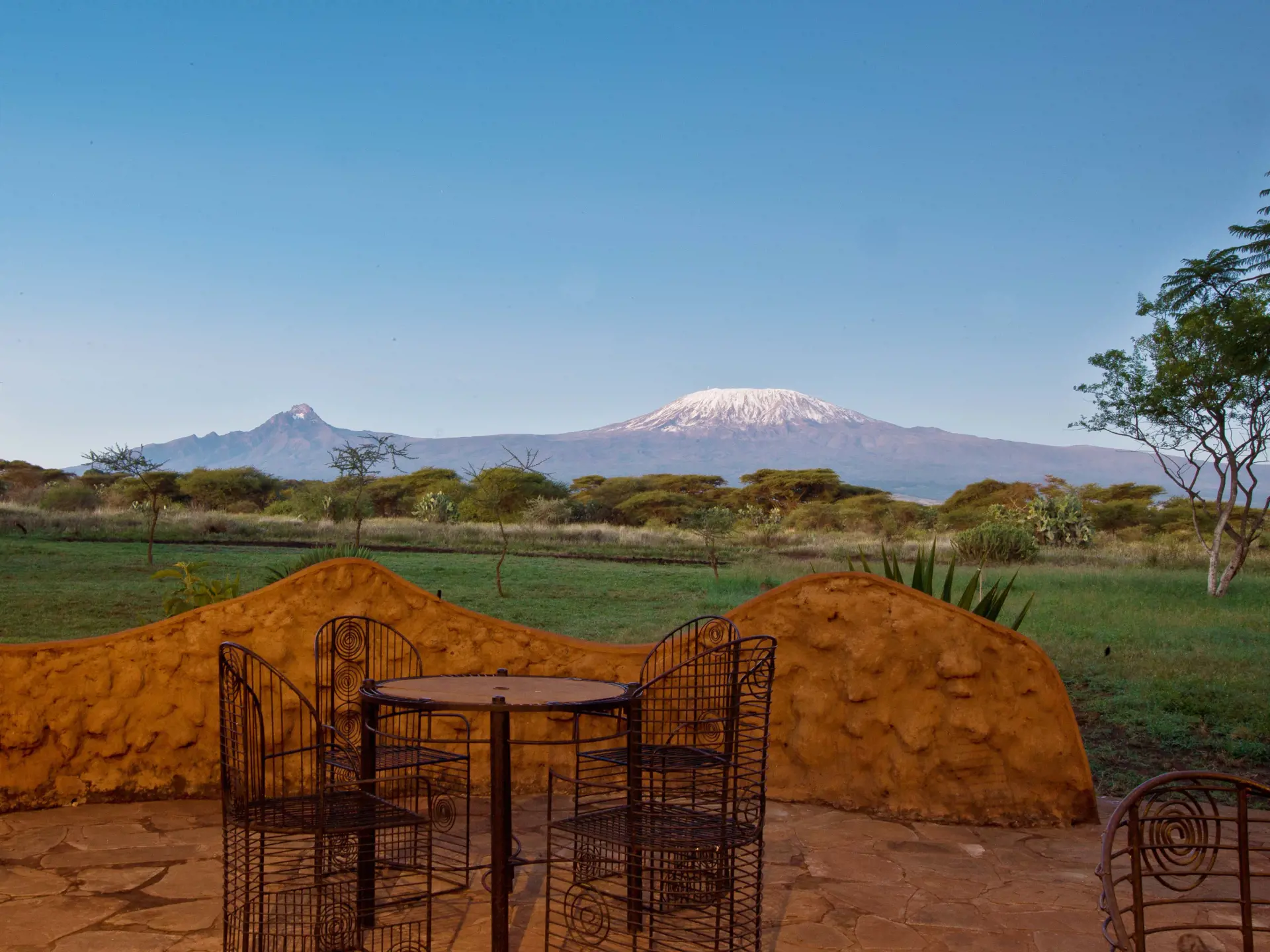 Mount Kilimanjaro View