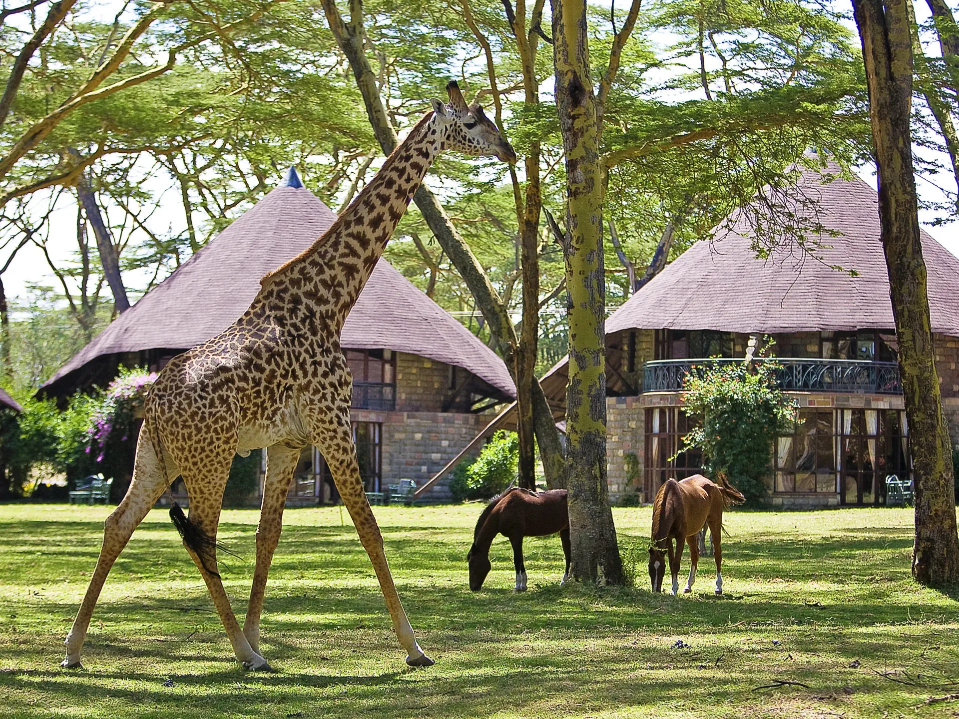Sopa Lodge Naivasha25