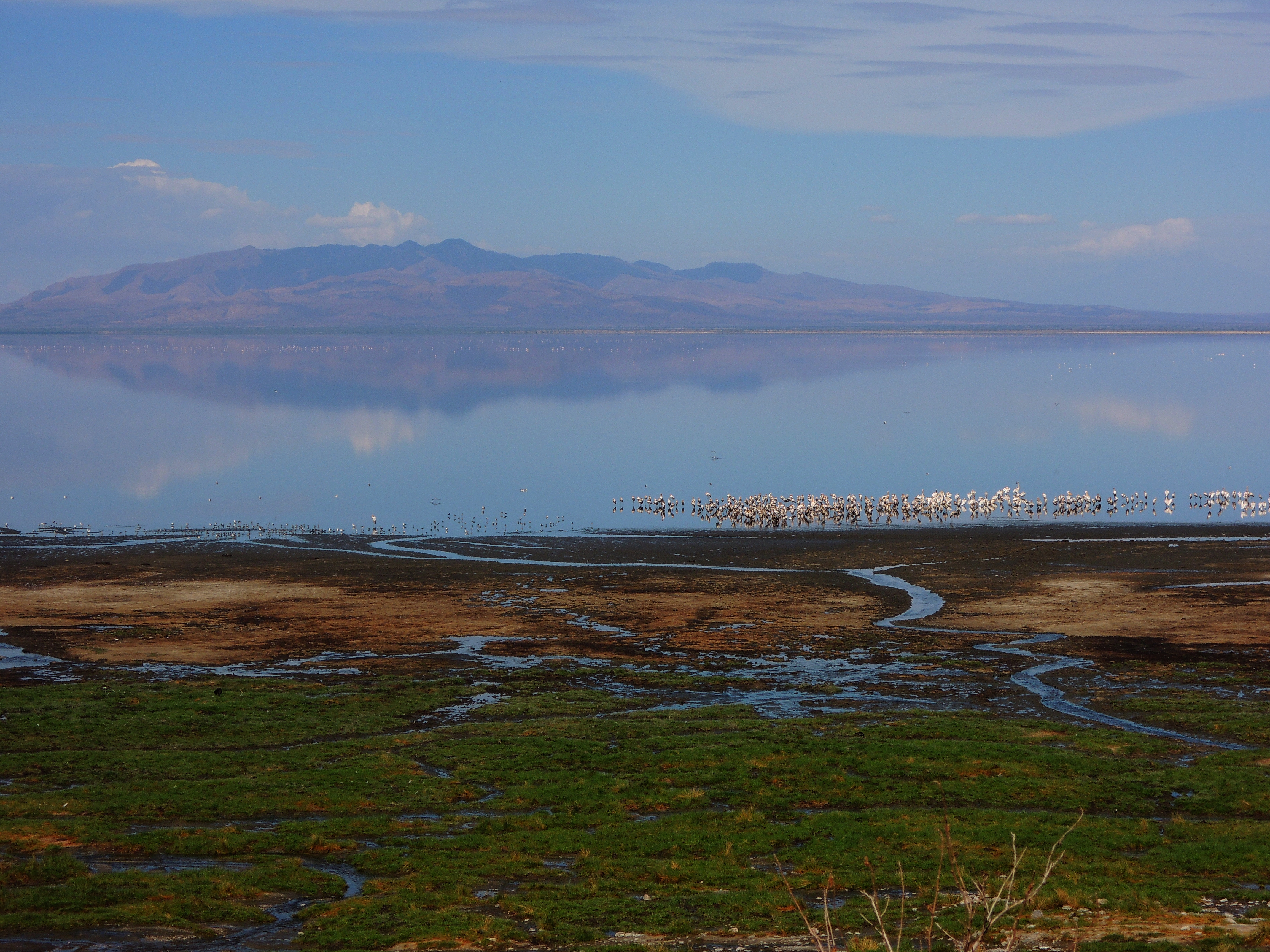 Shutterstock 1083039230