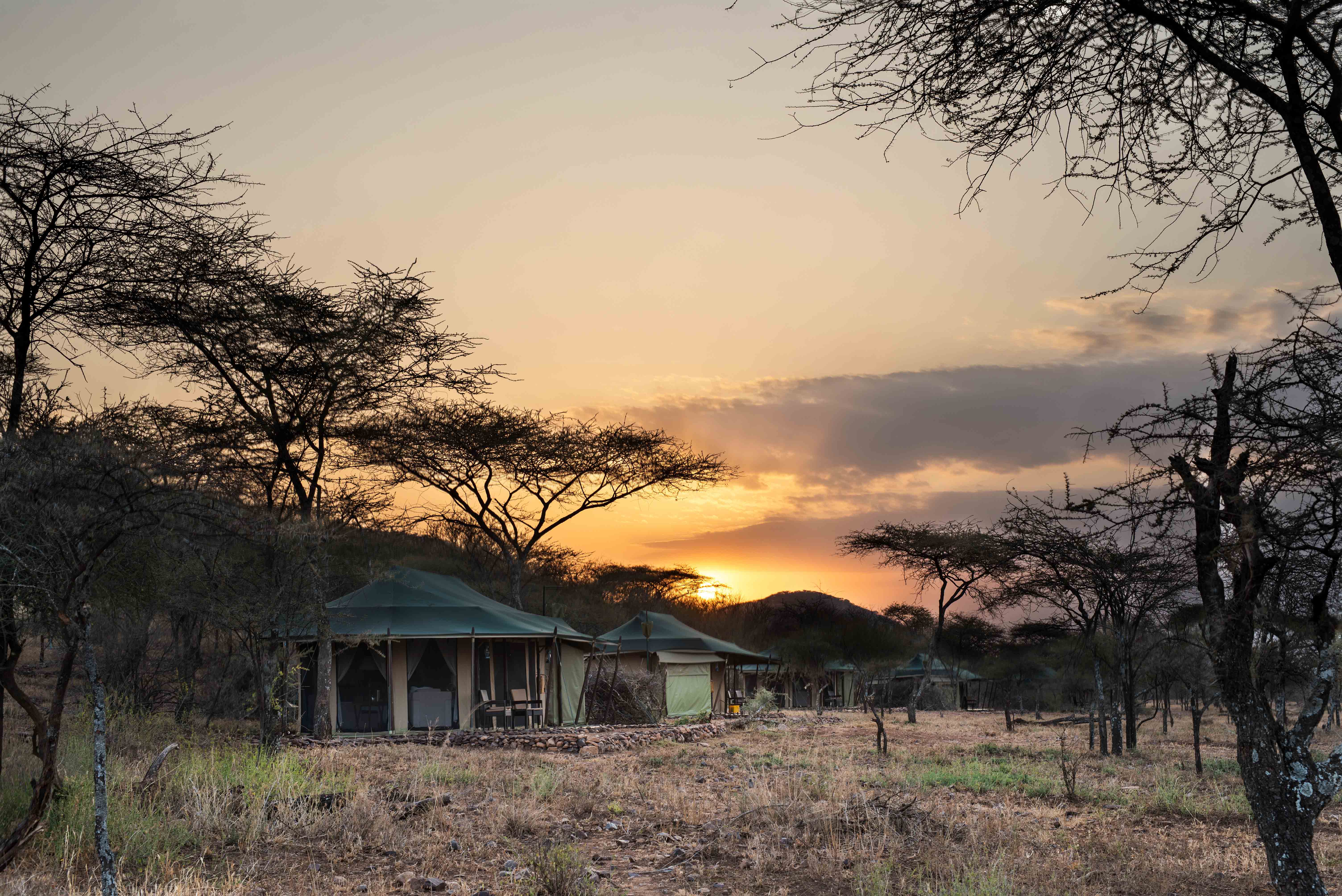 Ole Serai Luxury Camps Moru Kopjes (15)