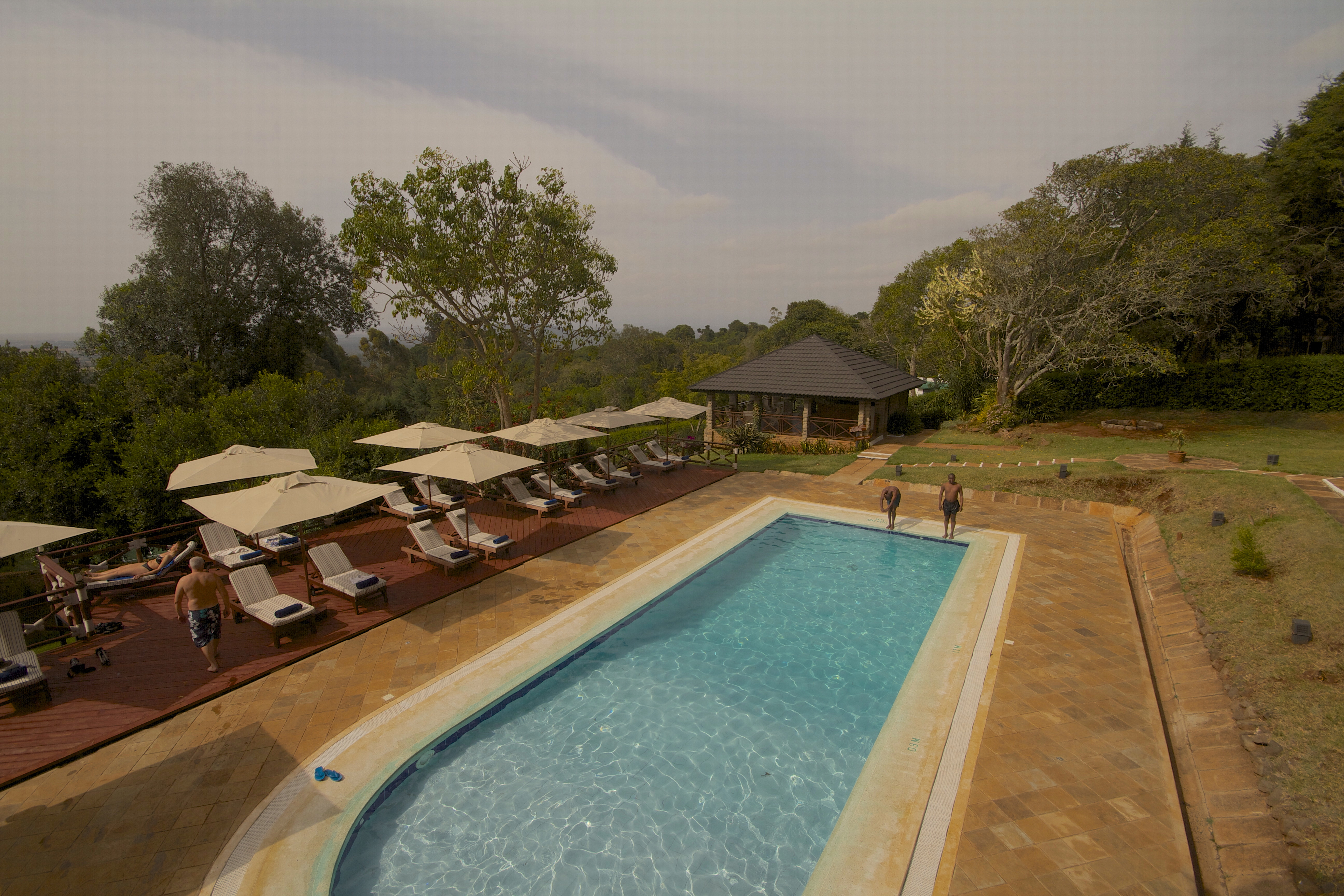 ACC Swimming Pool01
