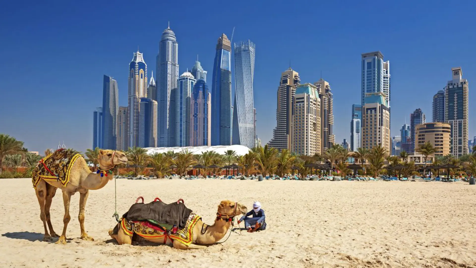 22023082 08Rejbm Dubai 095128 554Jpg