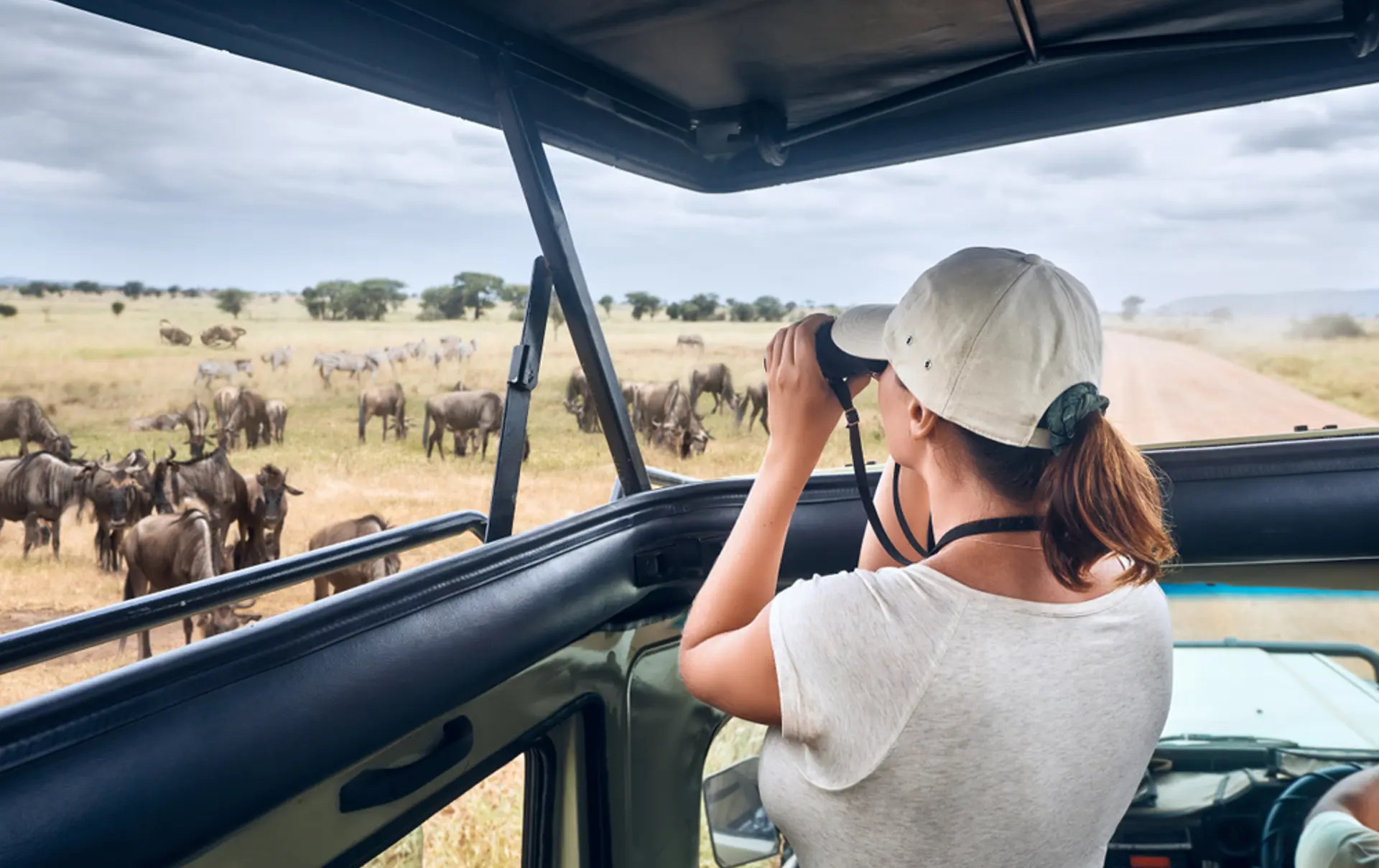 Serengeti Safari