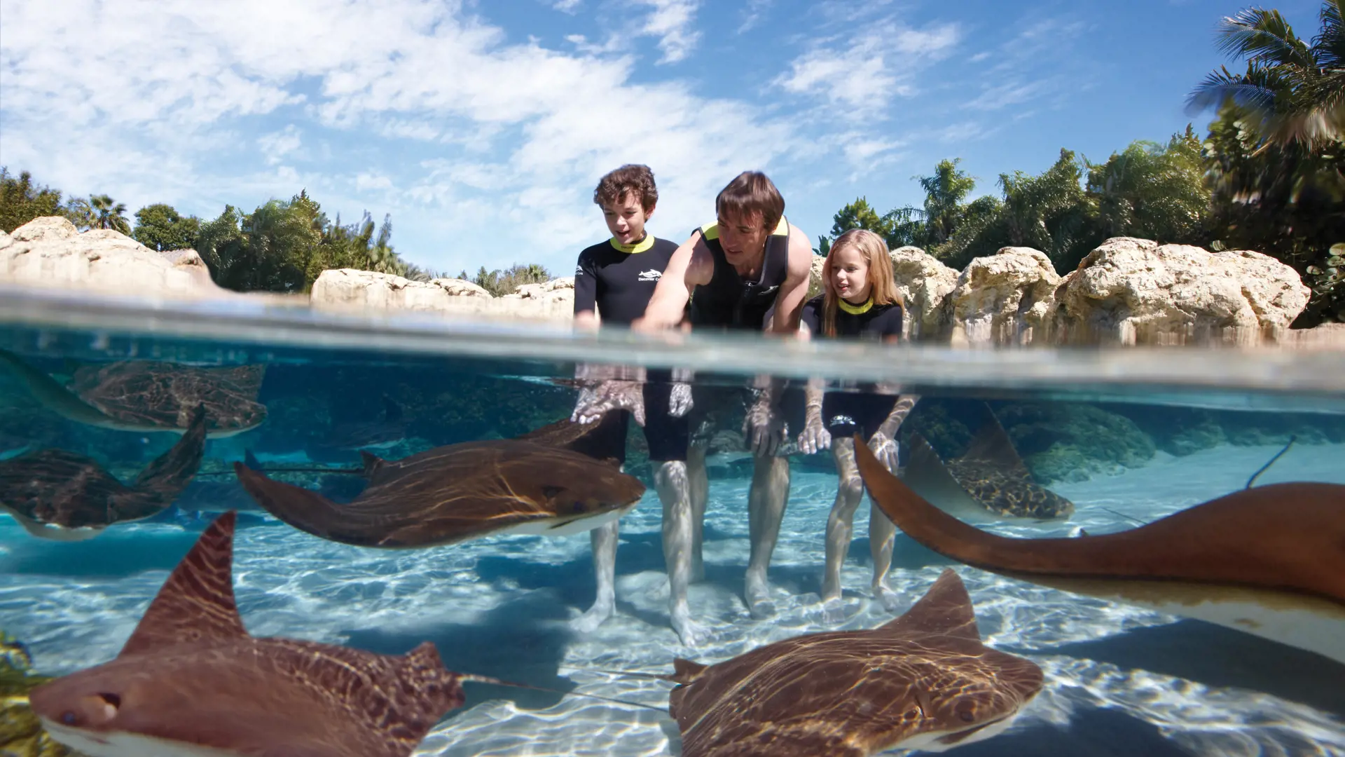 Discovery Cove_Ray Lagoon Family 1 High Resolution.jpg