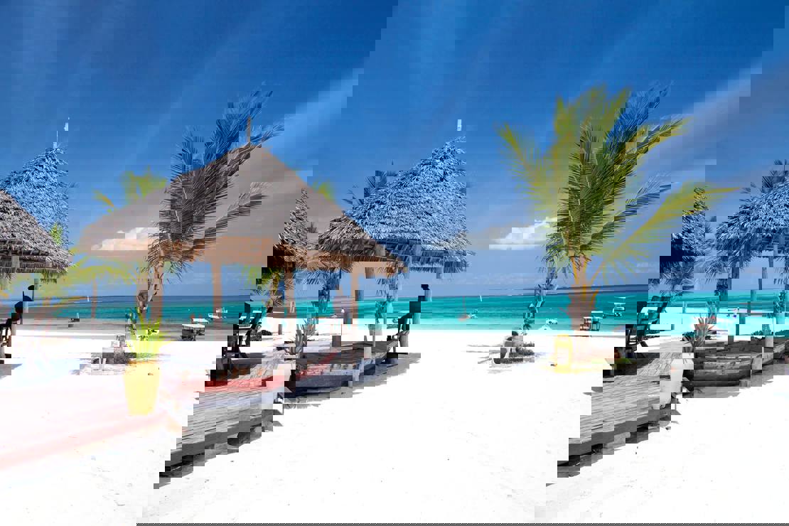 15443193 954656097967788 5991312664411981715 O
