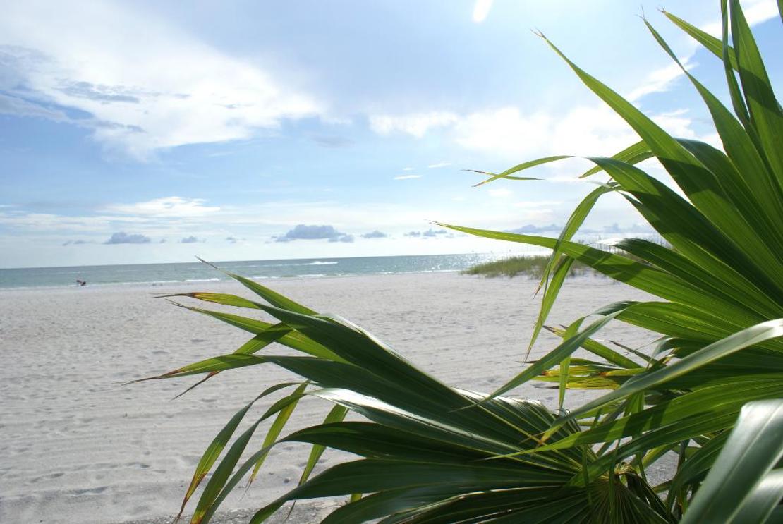 Barefoot Beach Hotel
