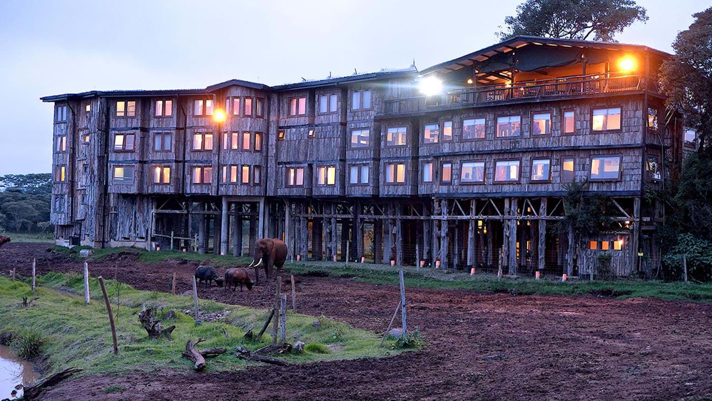 Kenya Tree Tops 2